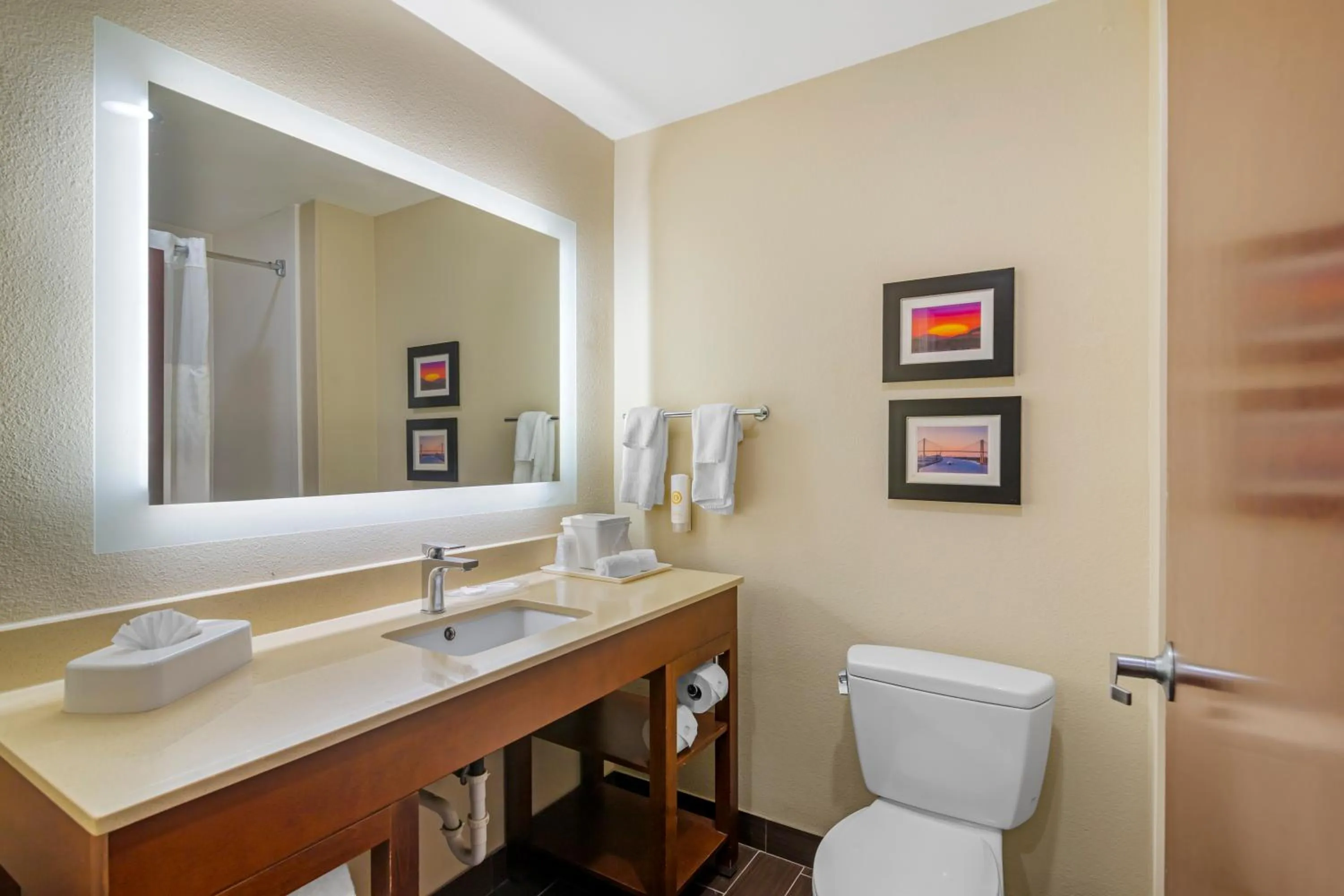 Toilet in Comfort Suites Savannah Gateway I-95