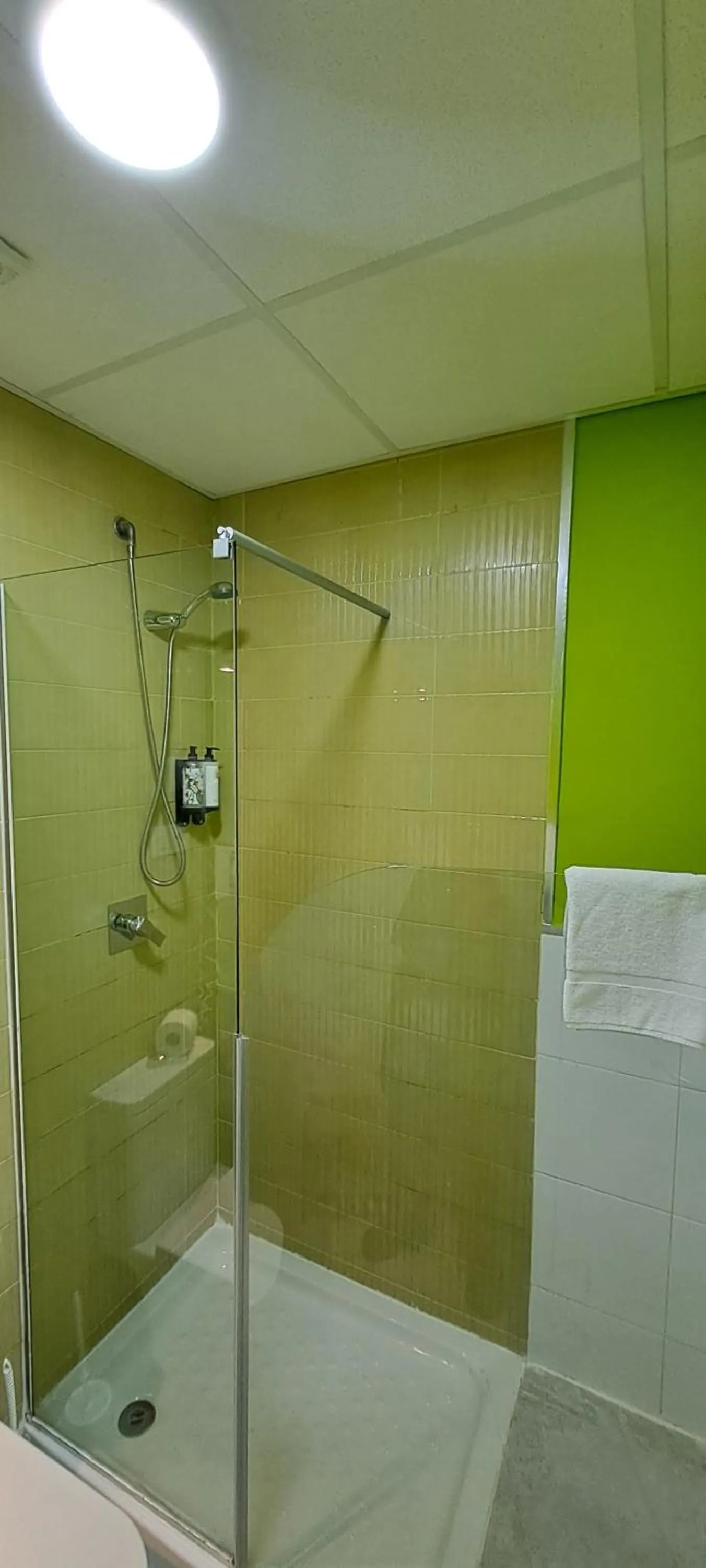 Shower in Nest Style Granada
