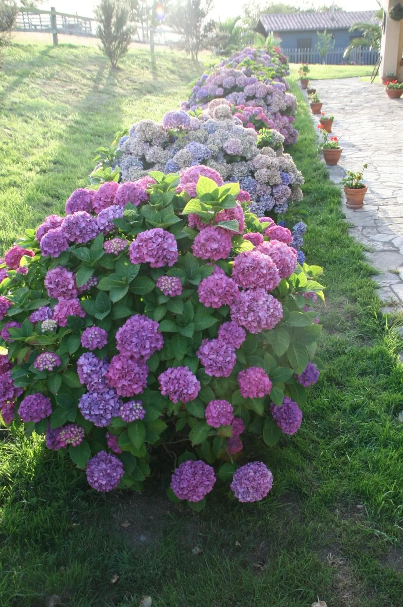 Garden in Paraje del Asturcon - Adults only