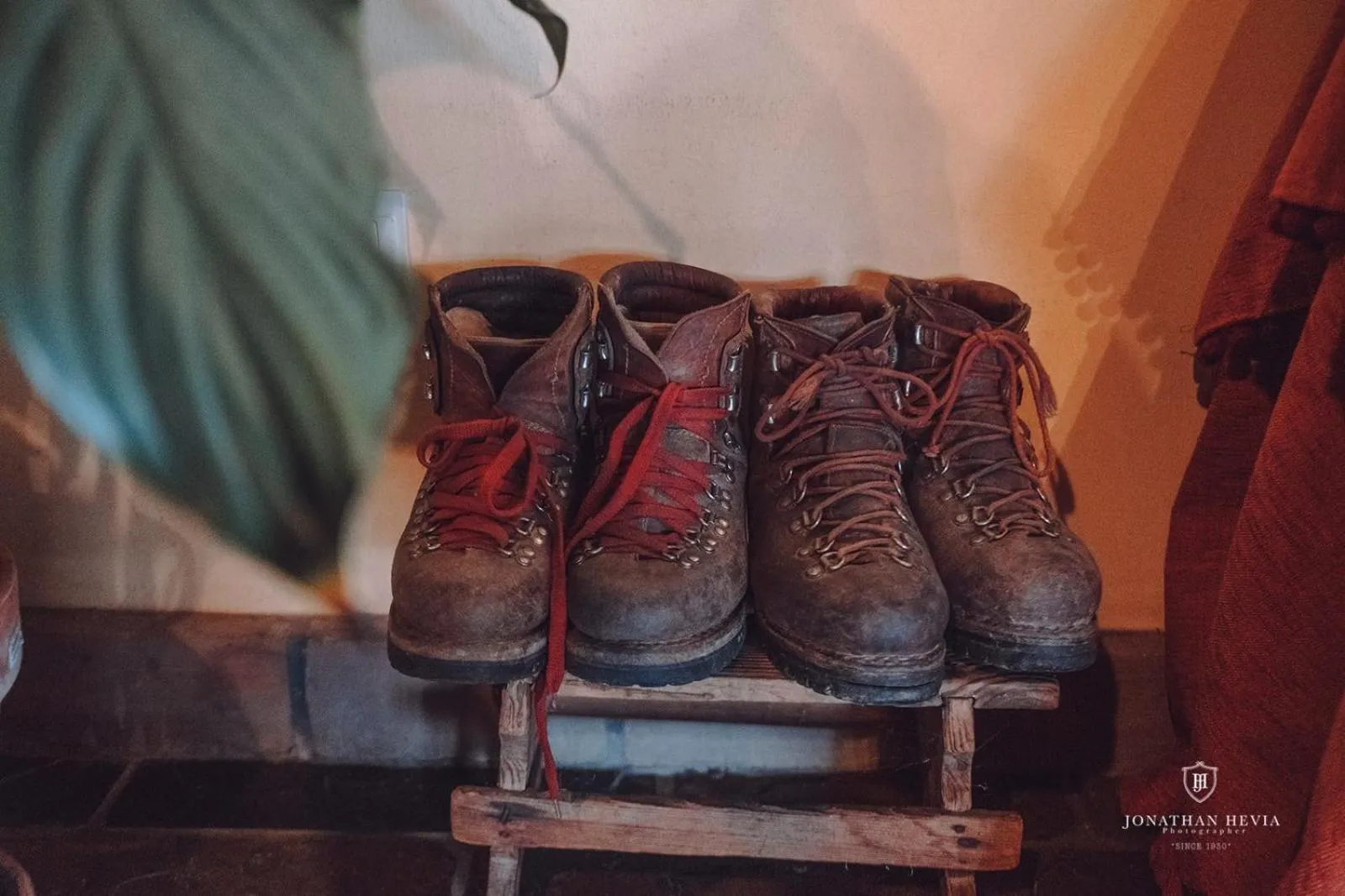 Decorative detail in Paraje del Asturcon - Adults only