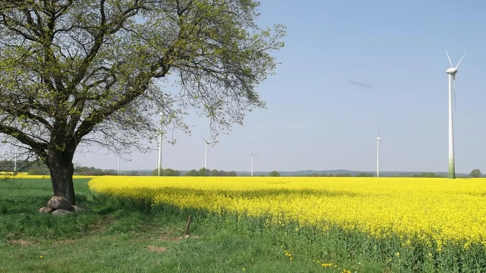 Hiking in Nigel Restaurant & Hotel im Wendland