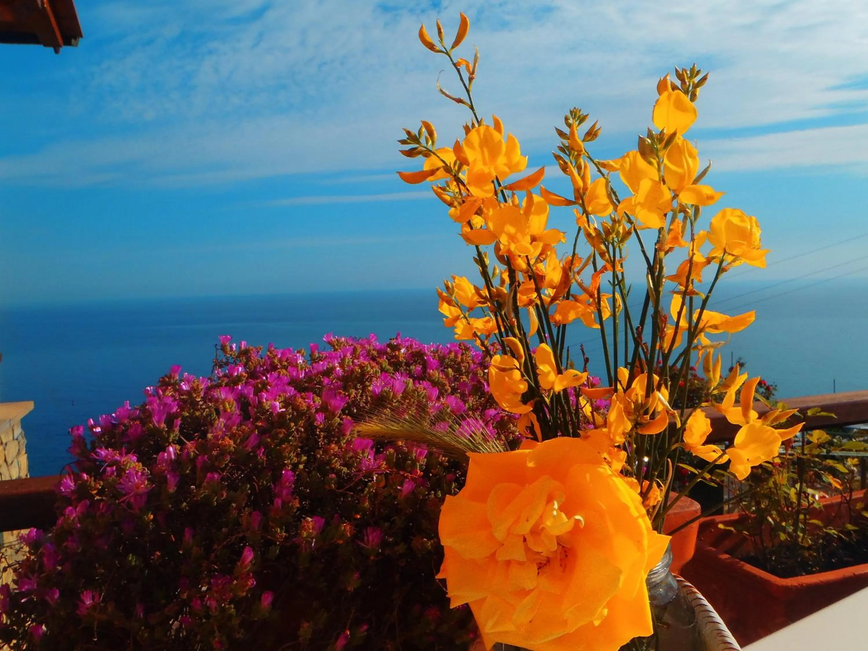 Day in La Serra Sul Mare