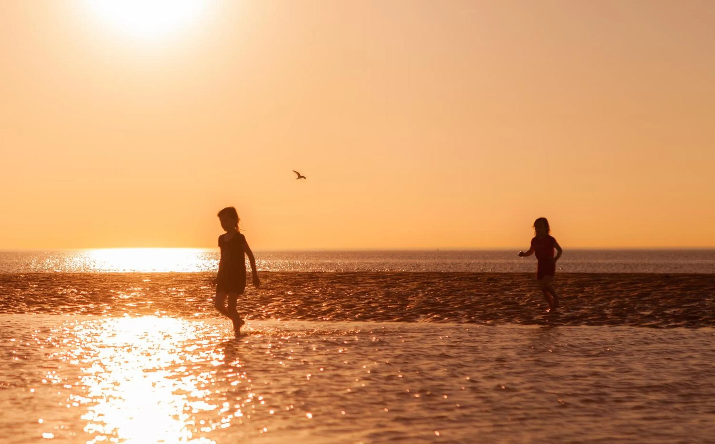 Neighbourhood in Het Zoete Pèèrd