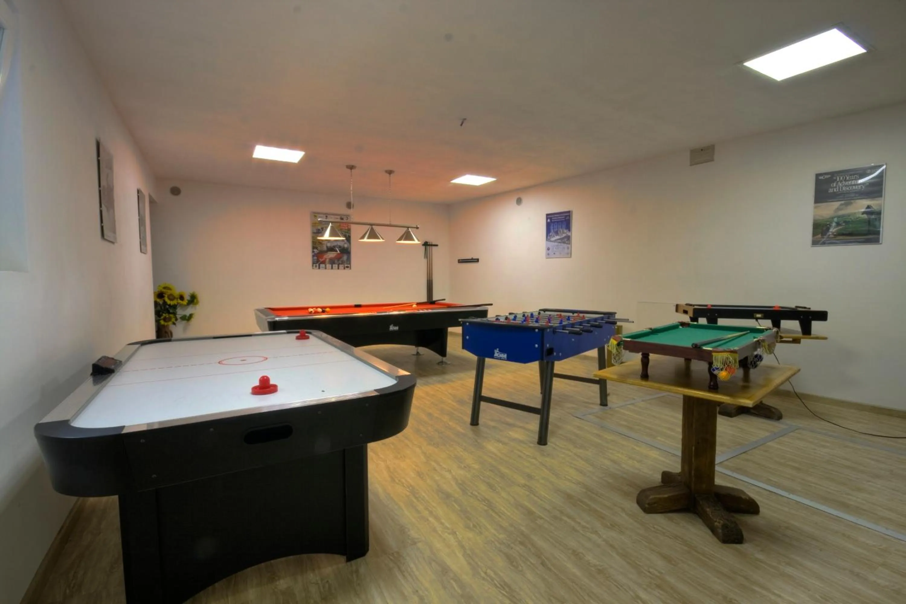 Game Room in Barisetti Sport Hotel