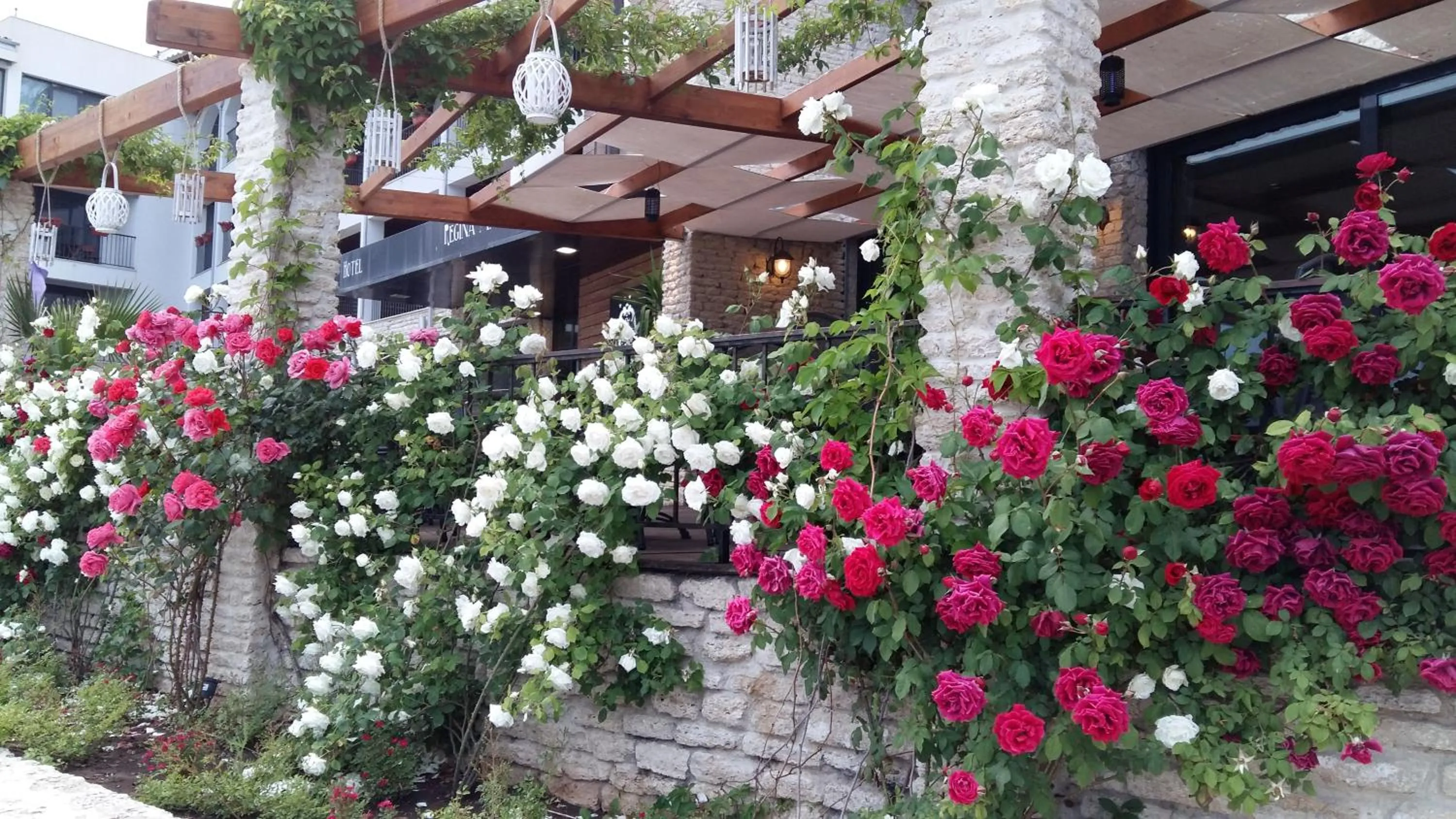 Patio in Regina Maria Spa Design Hotel