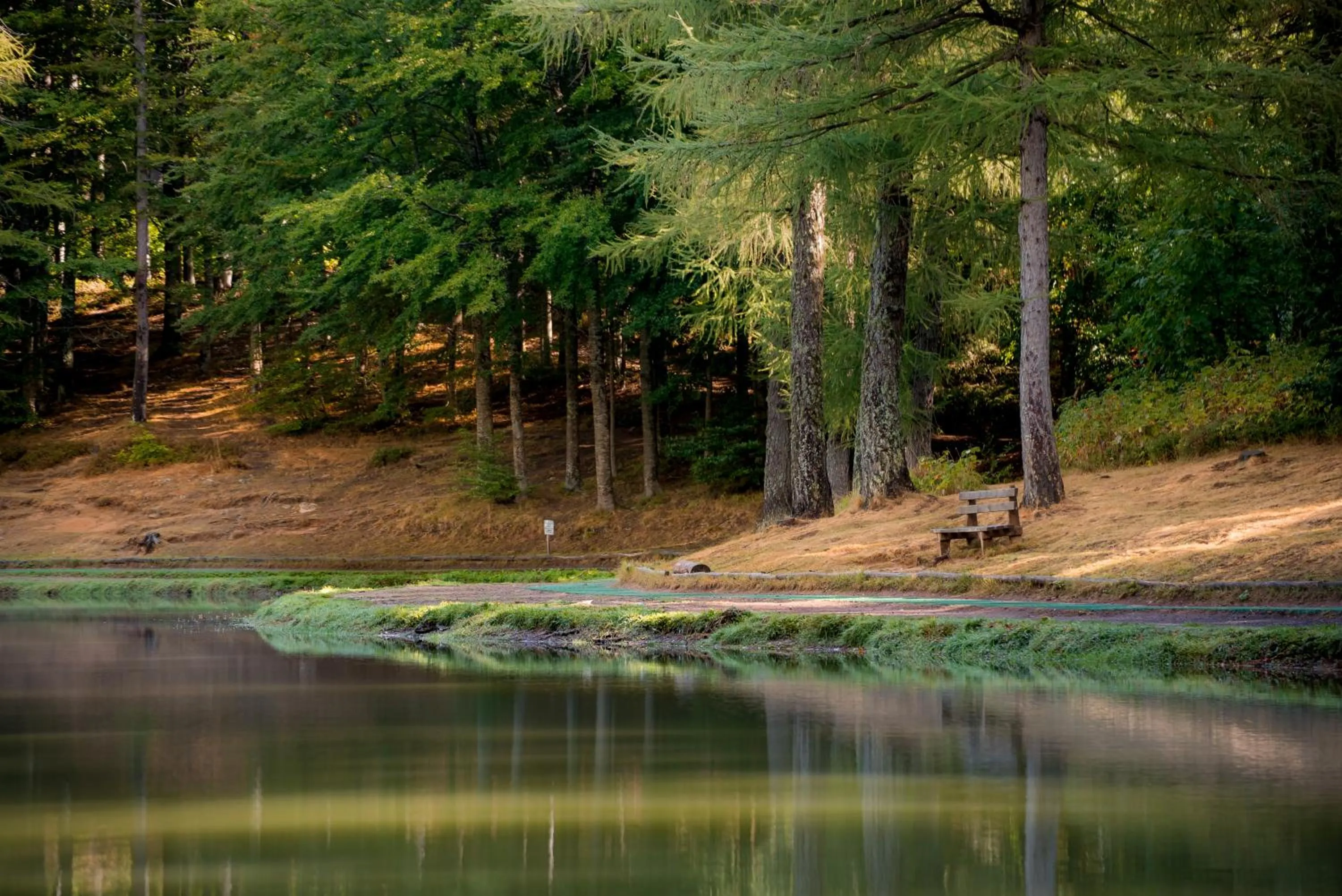 Spring in Hotel San Marco Sestola