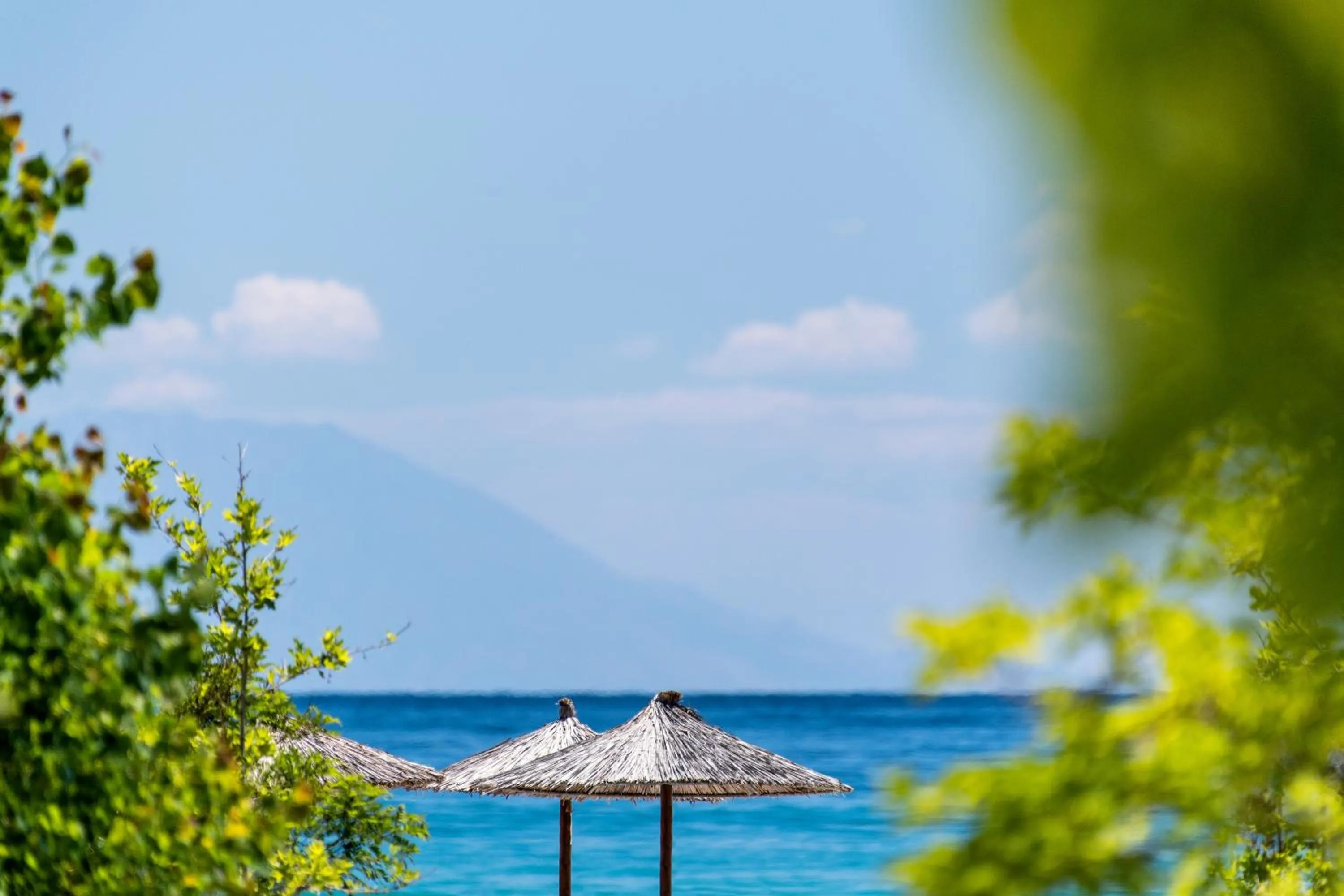 Beach in Alexandra Golden Boutique Hotel-Adults Only