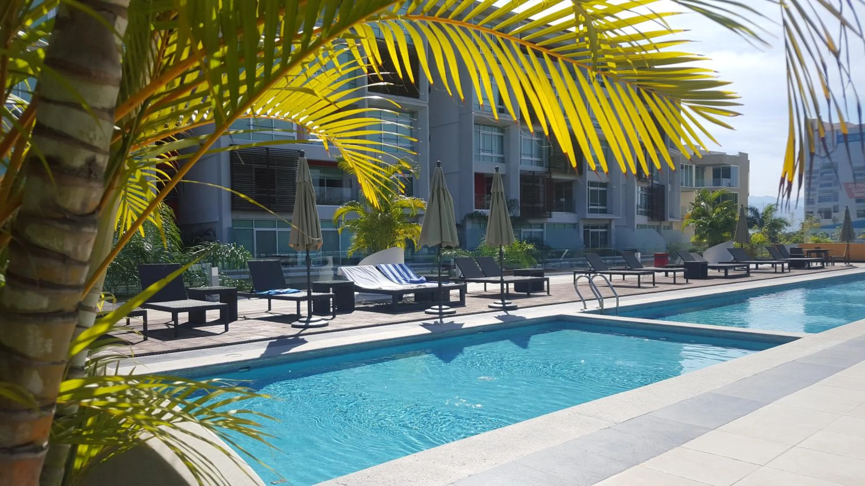 Swimming pool in Departamento en Nuevo Vallarta