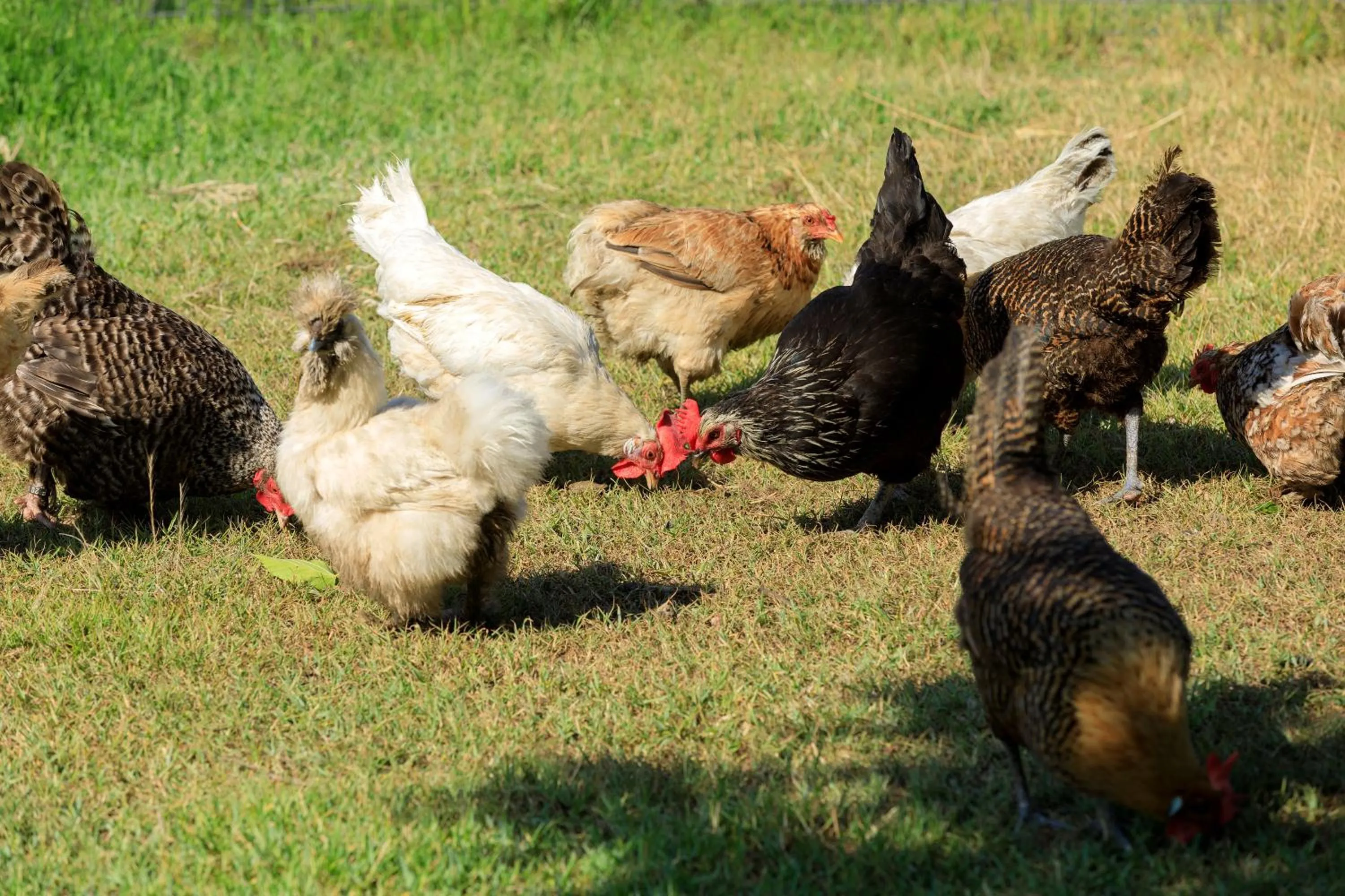 Garden view in Grand Hôtel De Cala Rossa & Spa Nucca