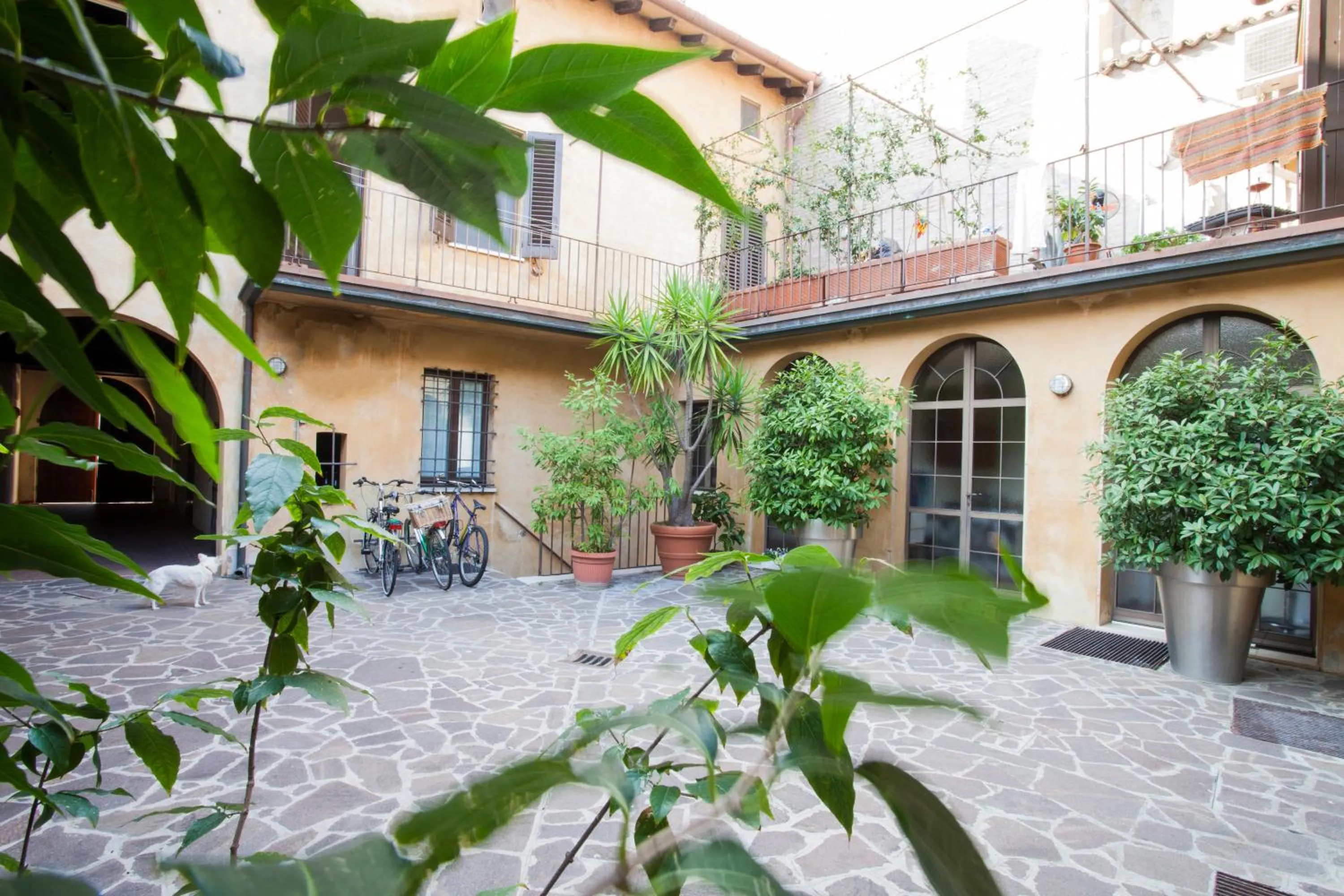 Garden in Casa del Pittore