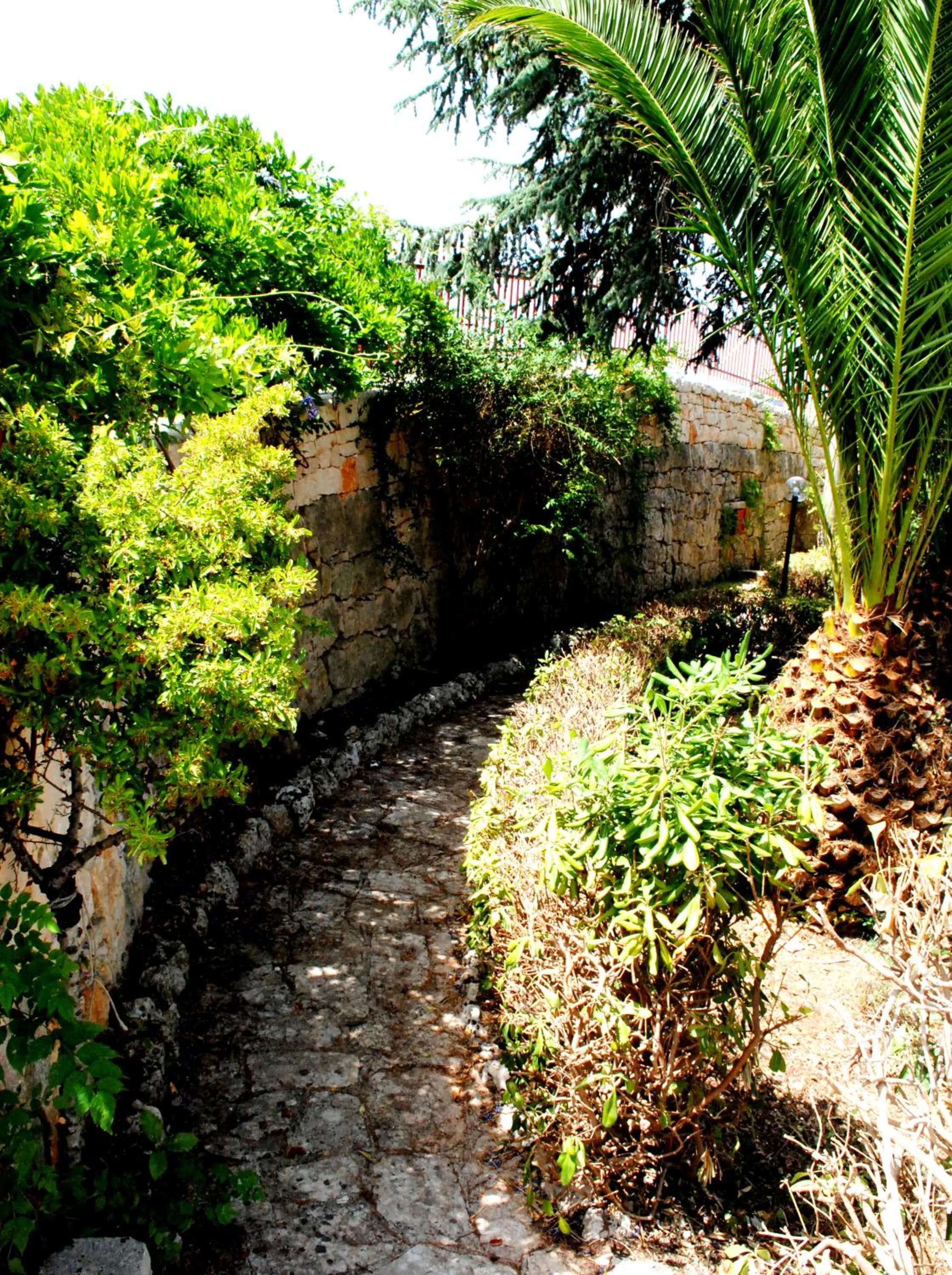 Garden in Dimora Romano