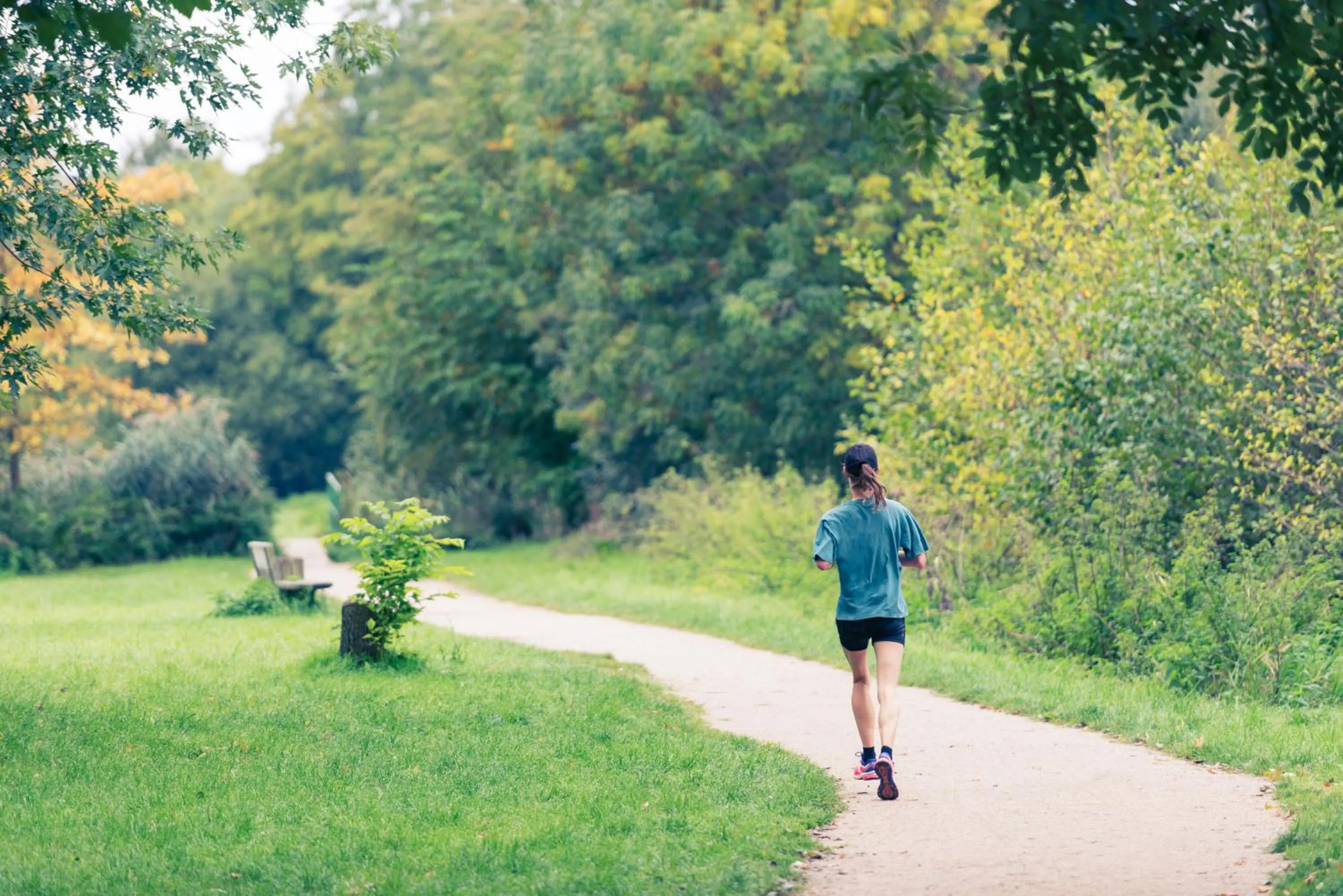 Sports in ibis Mulhouse Centre Filature