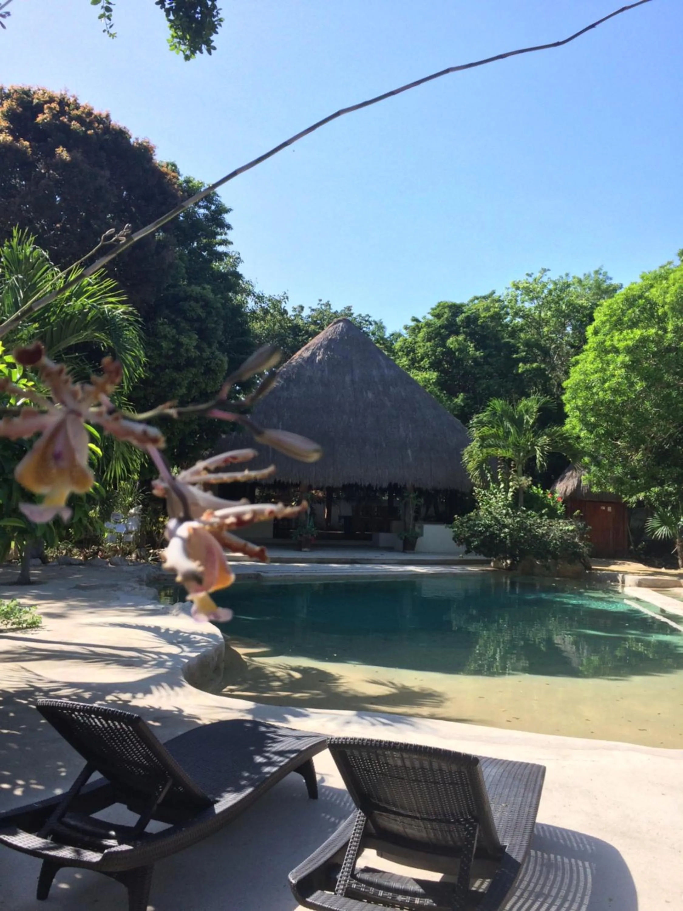 Restaurant/places to eat in La Villa Mexicana by Diving Prestige