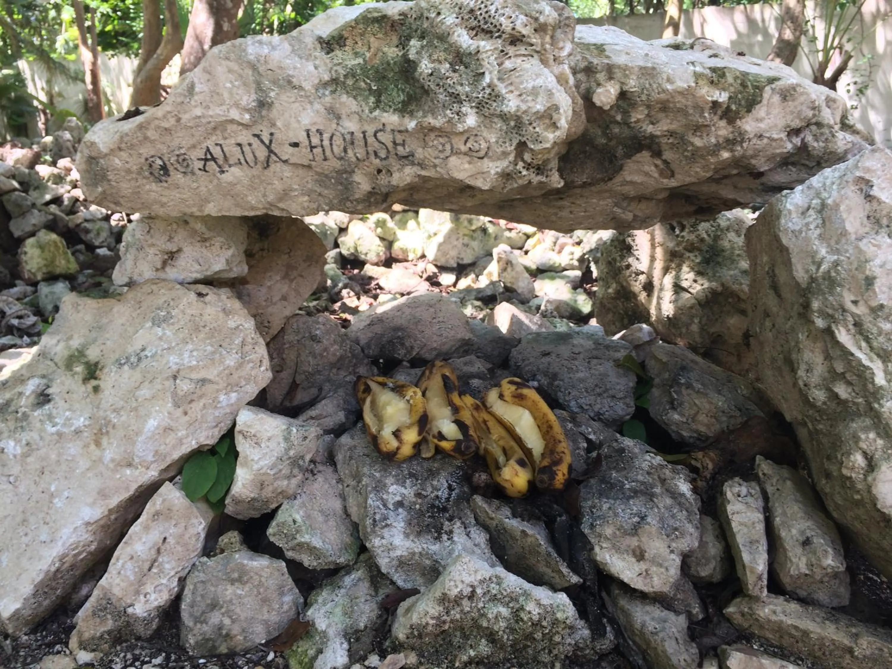 Garden in La Villa Mexicana by Diving Prestige