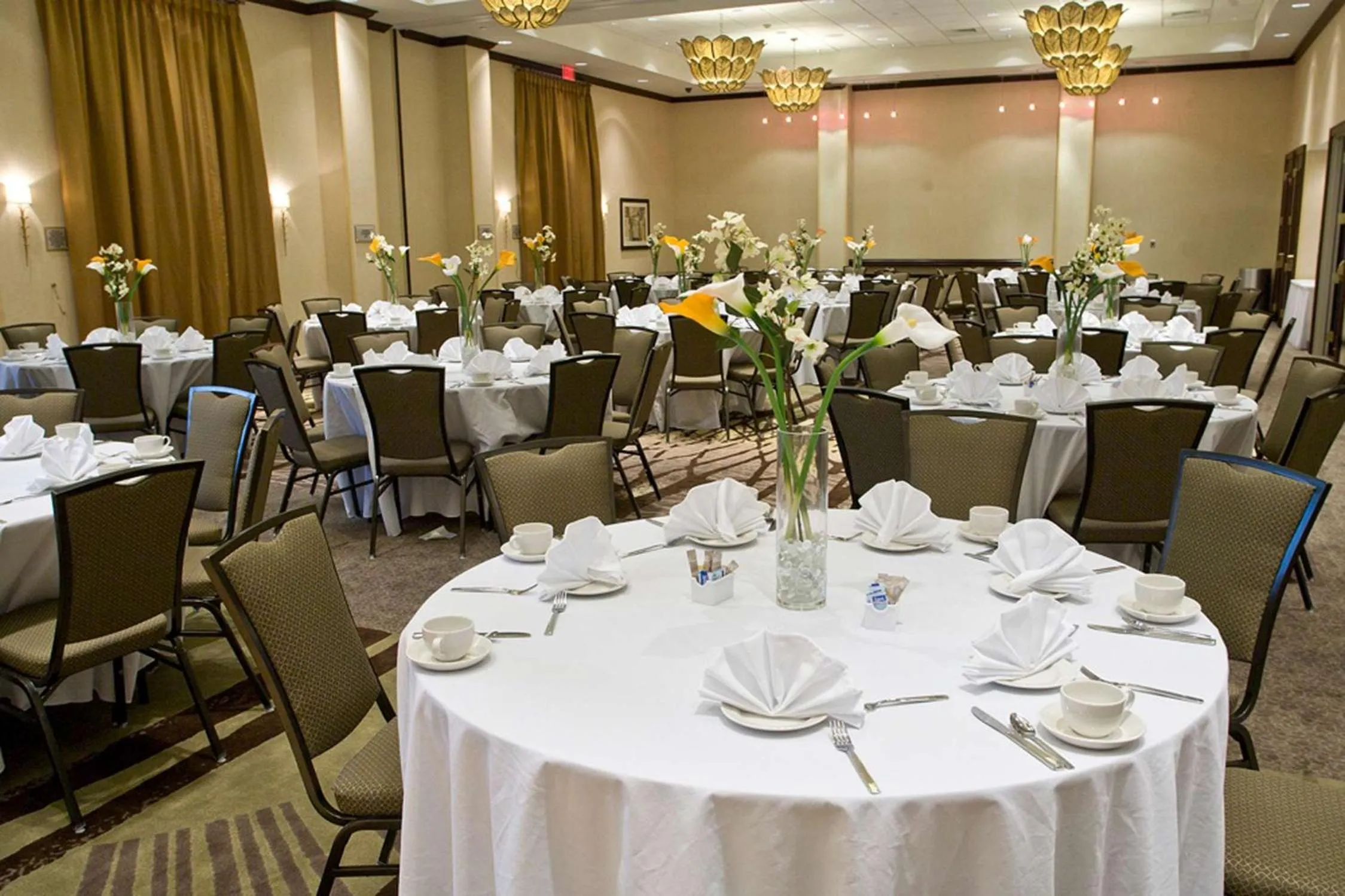 Meeting/conference room in Embassy Suites Savannah Airport