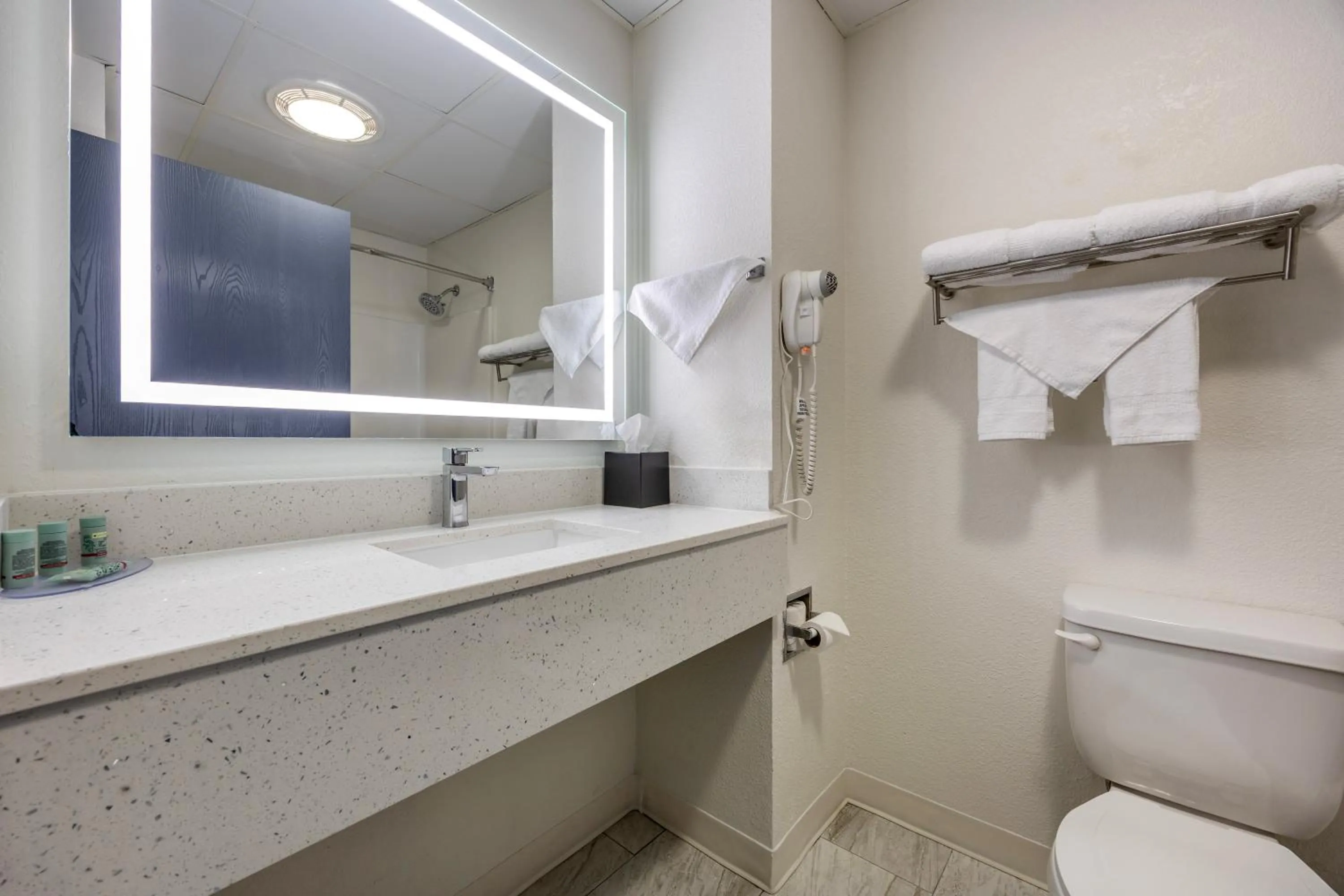 Bathroom in Best Western Bolingbrook Hotel