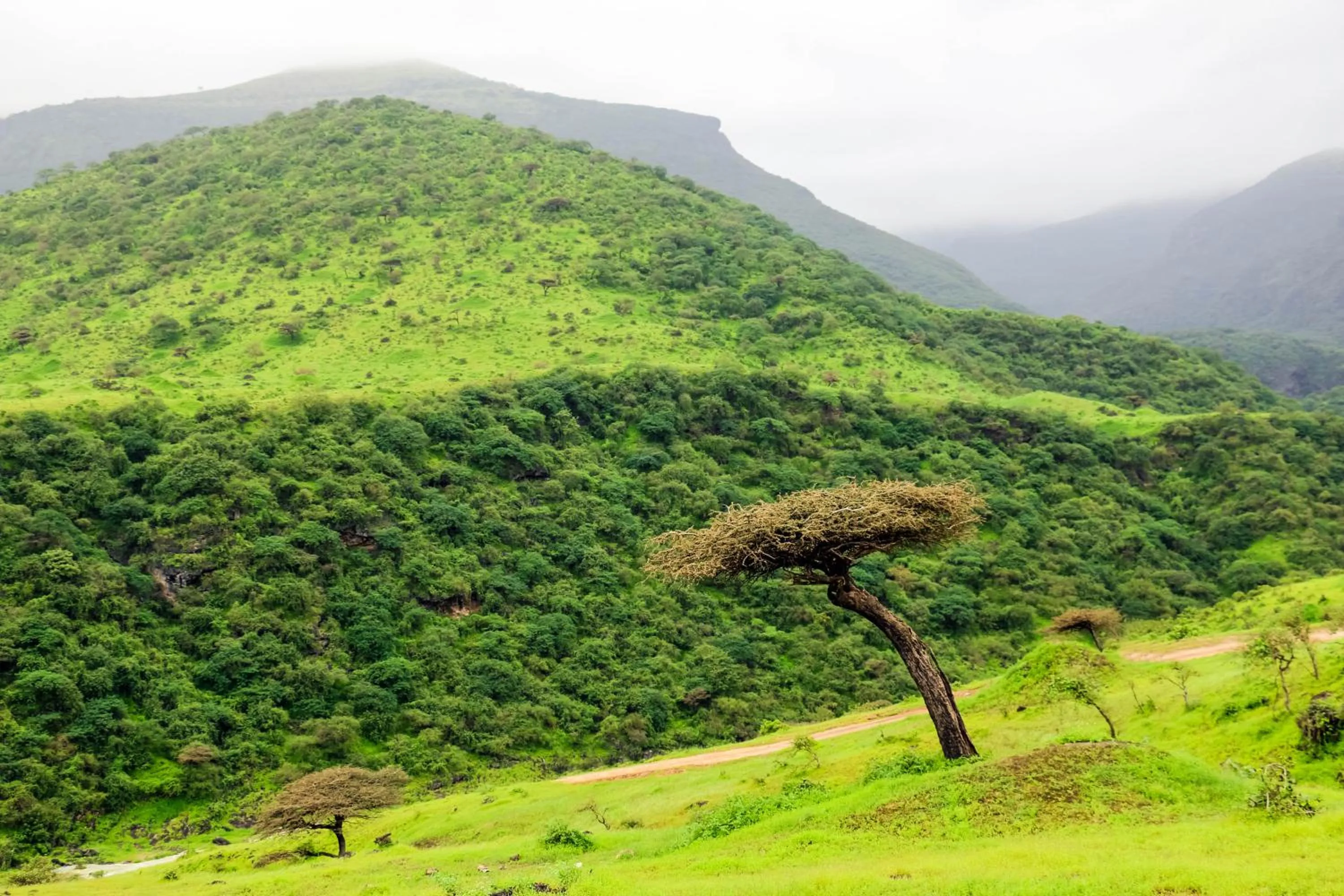 Day in Wyndham Garden Salalah Mirbat