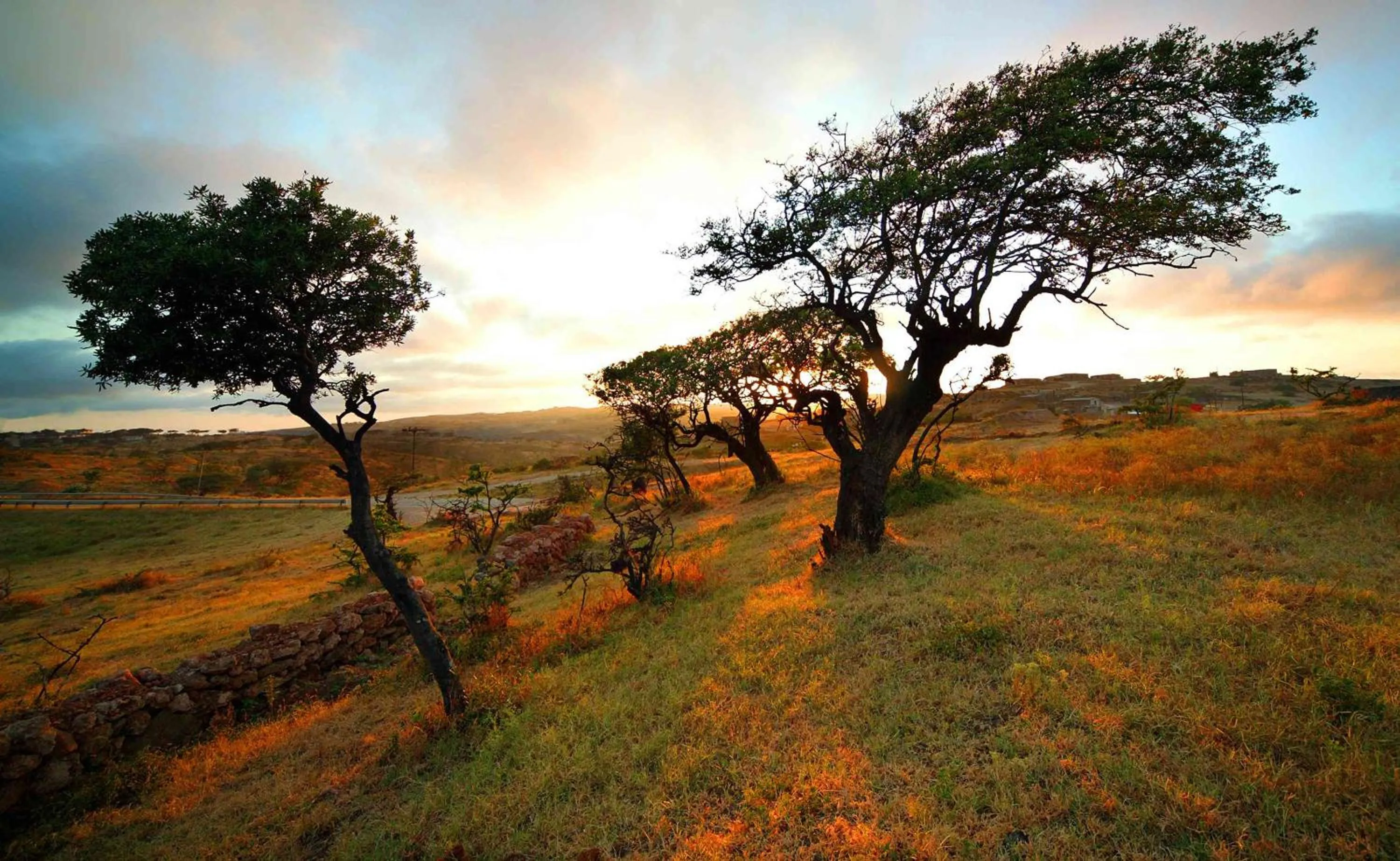 Off site in Wyndham Garden Salalah Mirbat