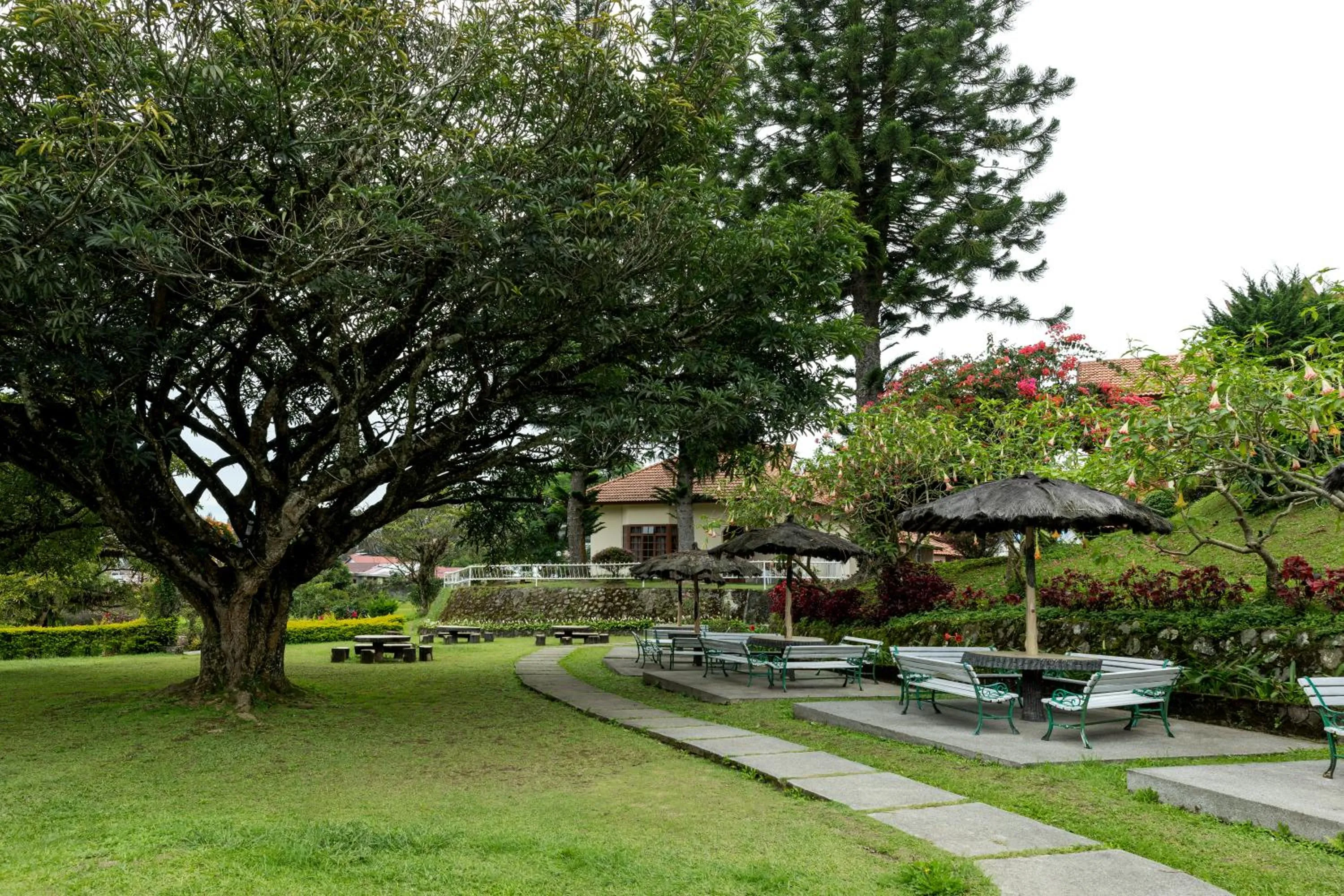Garden view in Sinabung Hills Berastagi
