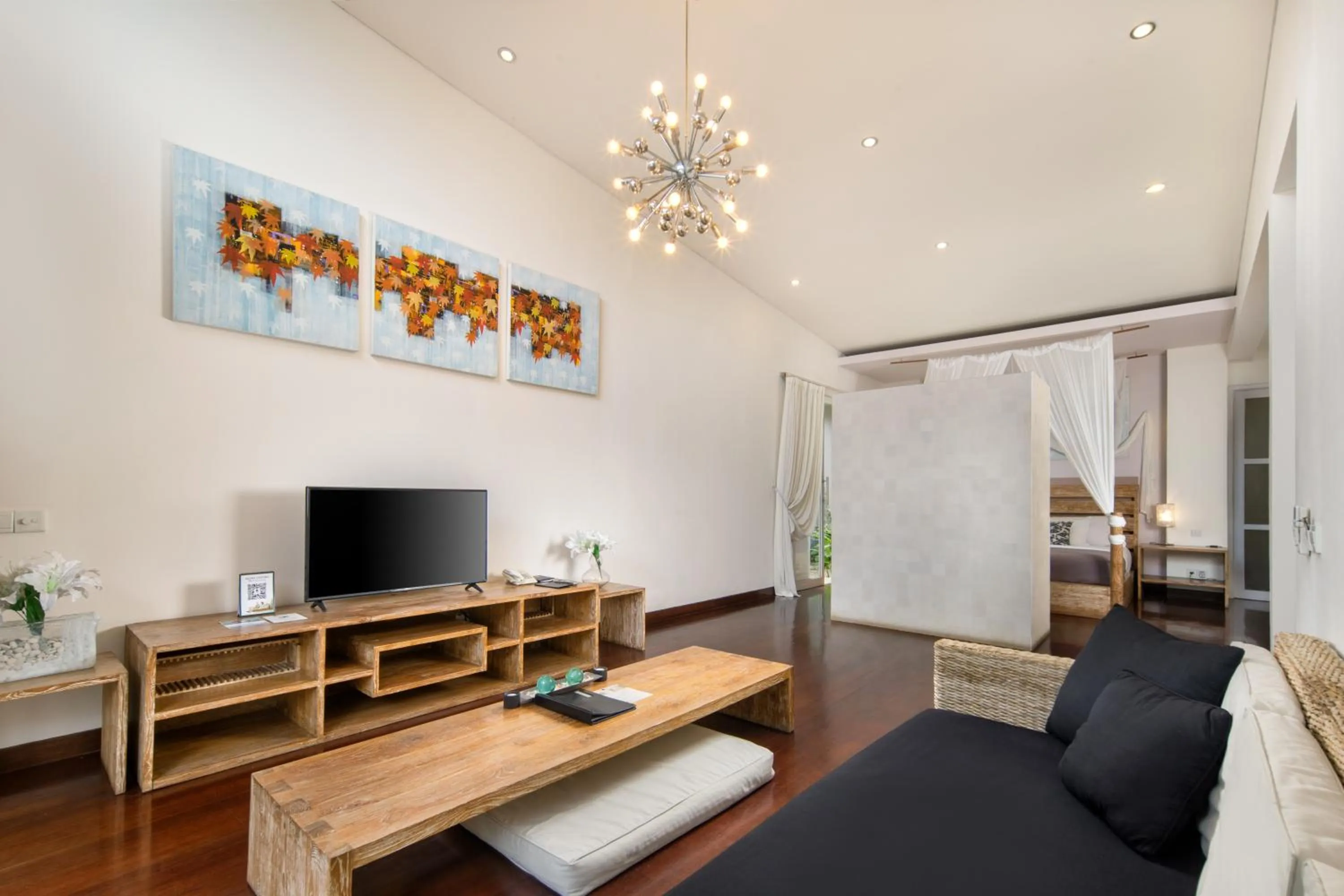 TV and multimedia in The Seiryu Boutique Bali Villas