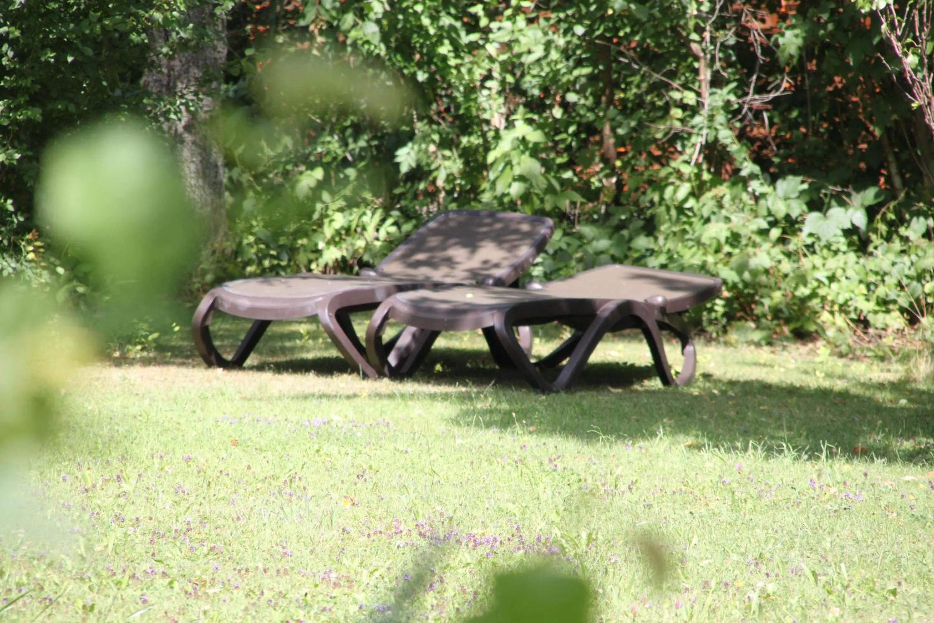 Garden in Hotel Landhaus Waldesruh