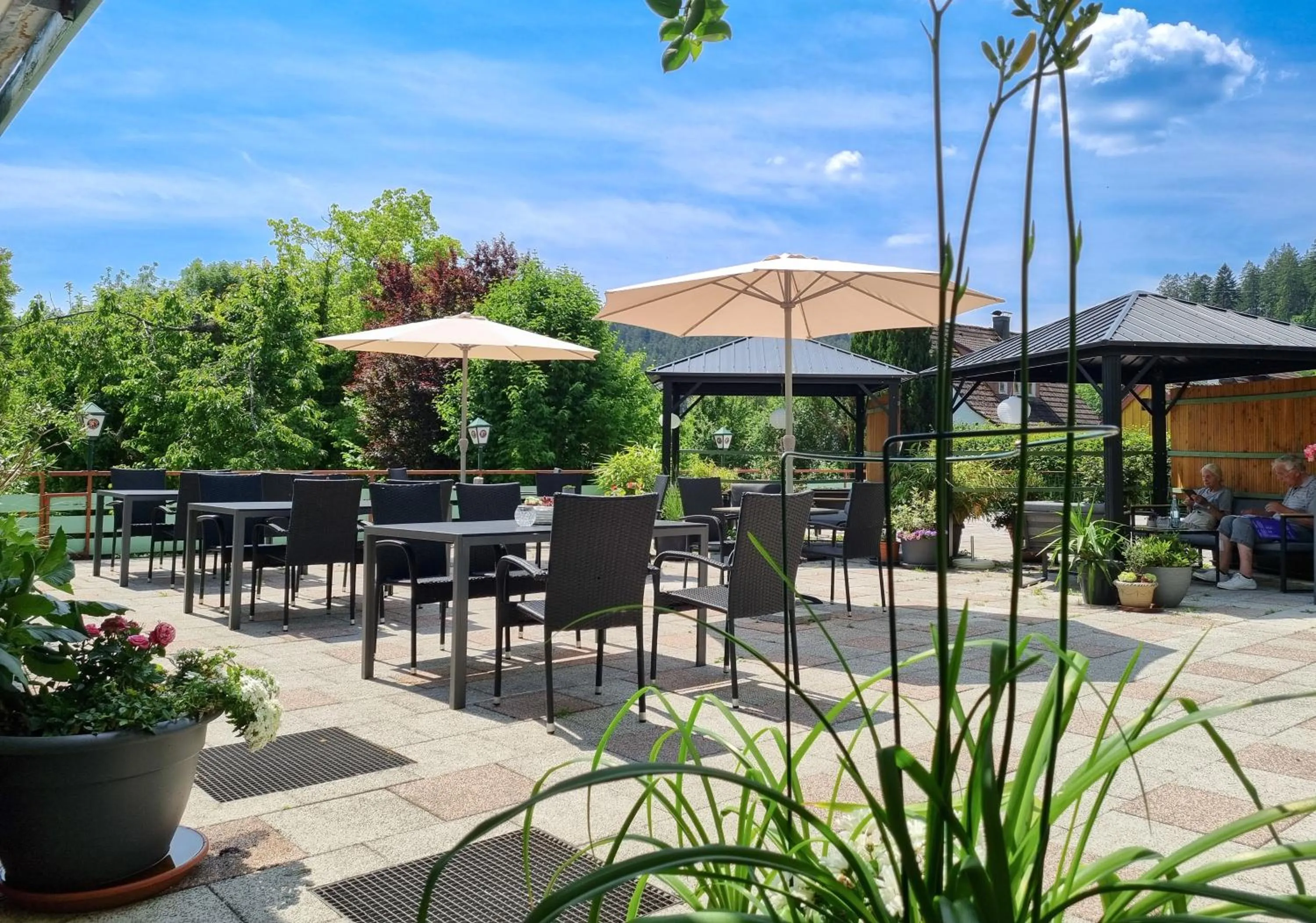 Restaurant/places to eat in Hotel Landhaus Waldesruh