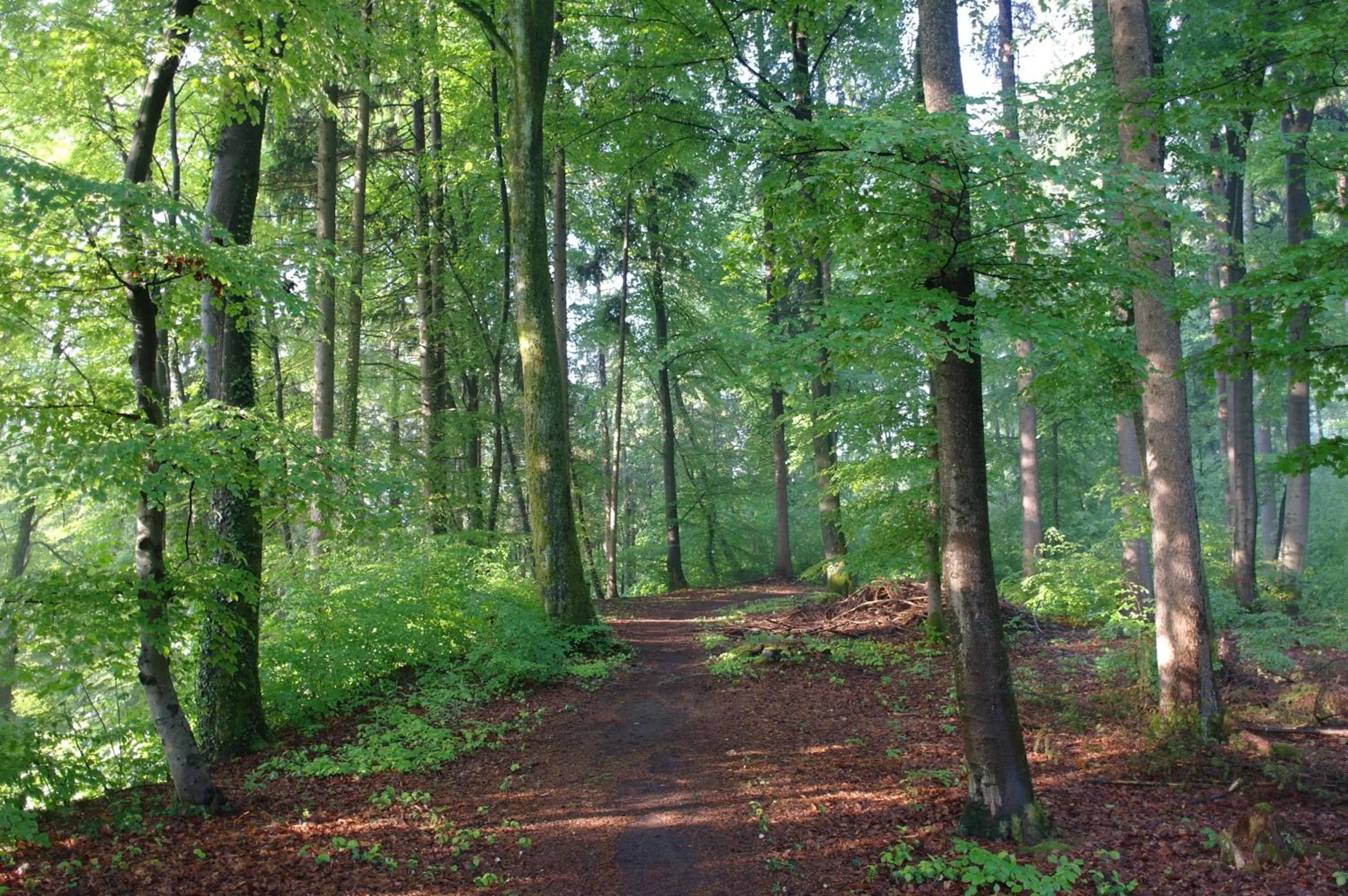 Off site in Hotel Waldgasthof Buchenhain