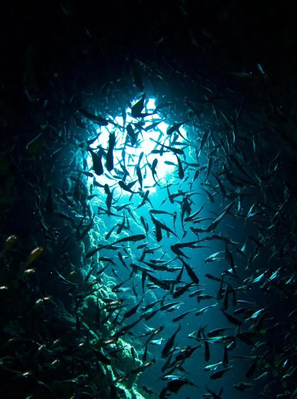 Diving in Zeavola Resort