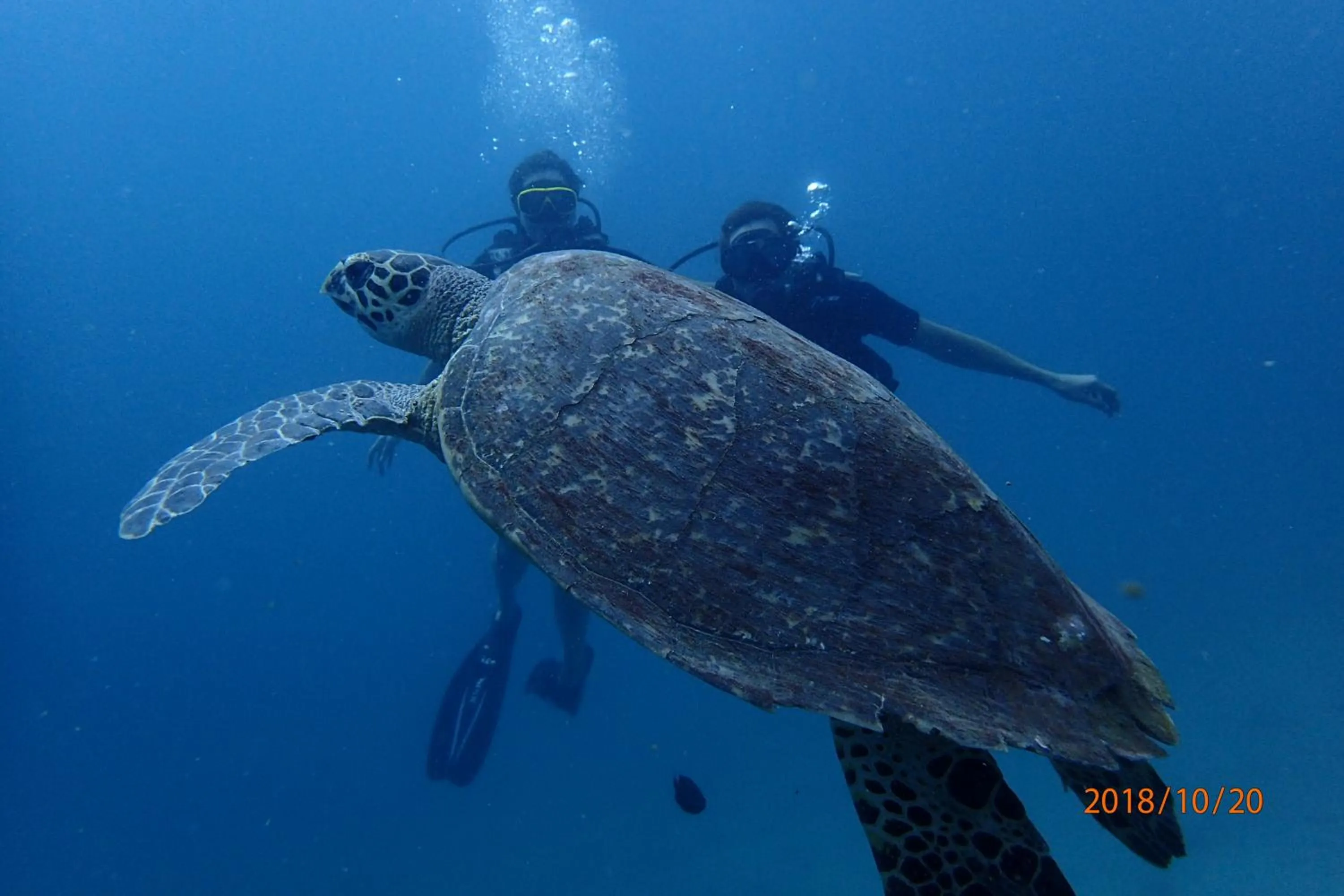 Diving in Zeavola Resort