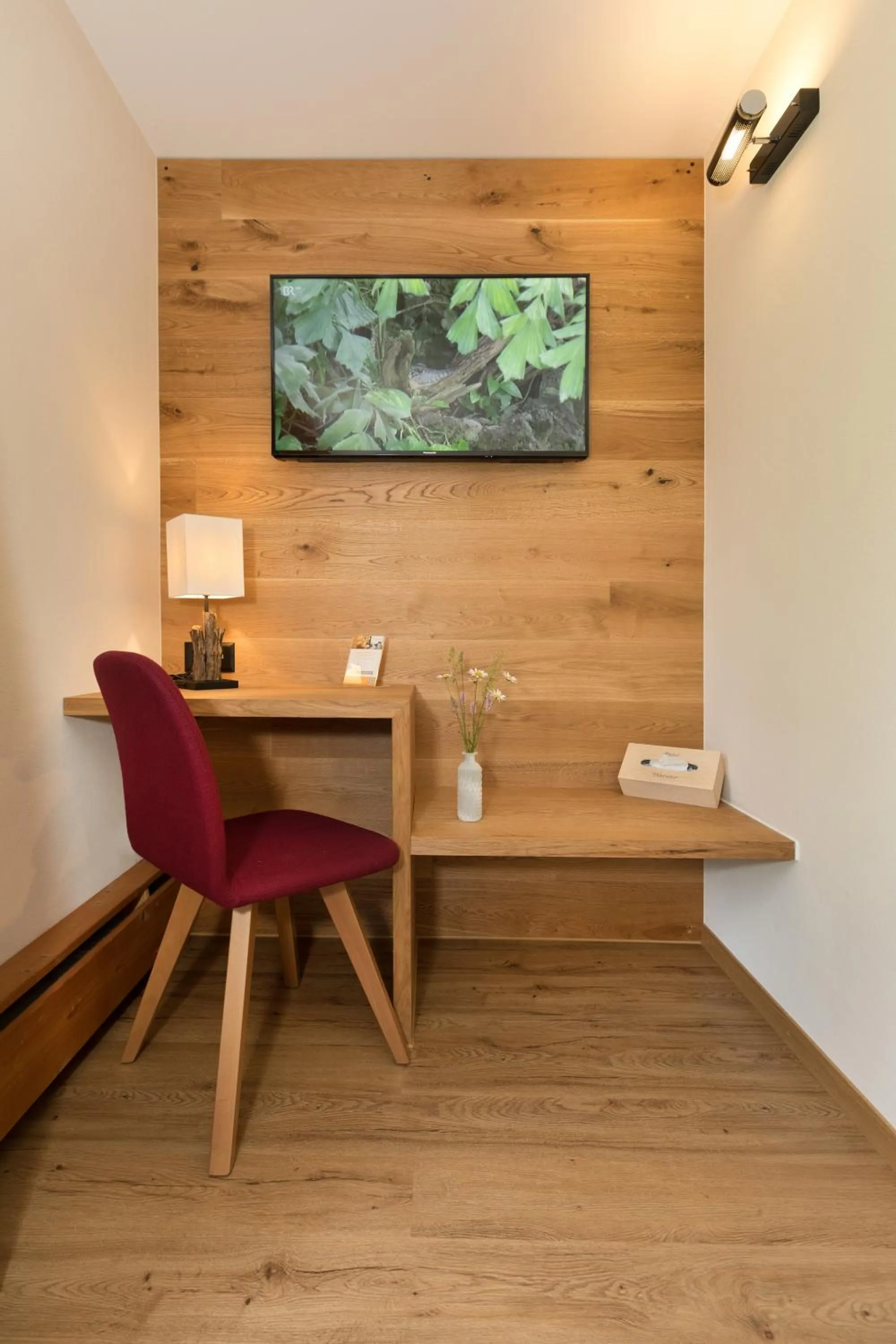 TV and multimedia in Boutique-Hotel Vincenz