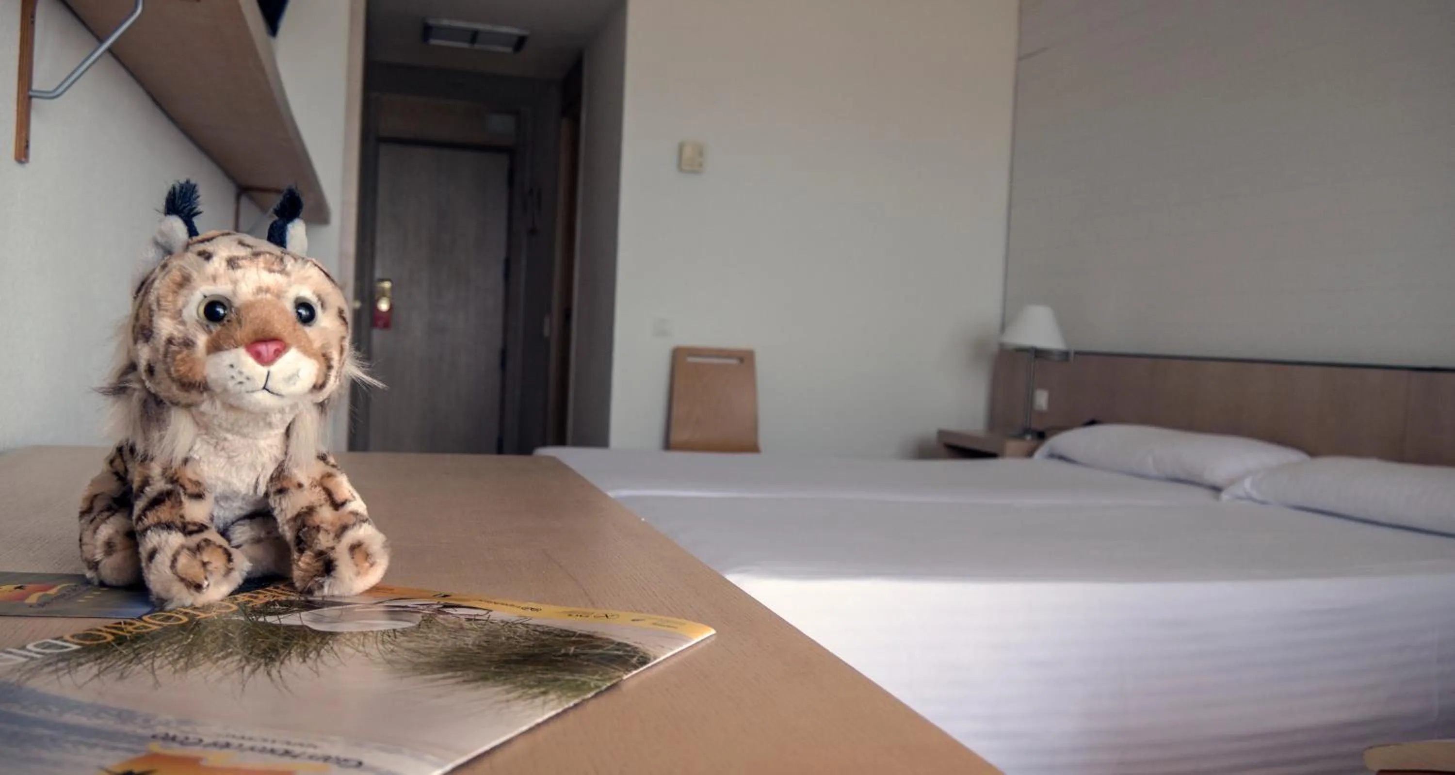 Photo of the whole room, Bed in Gran Hotel del Coto