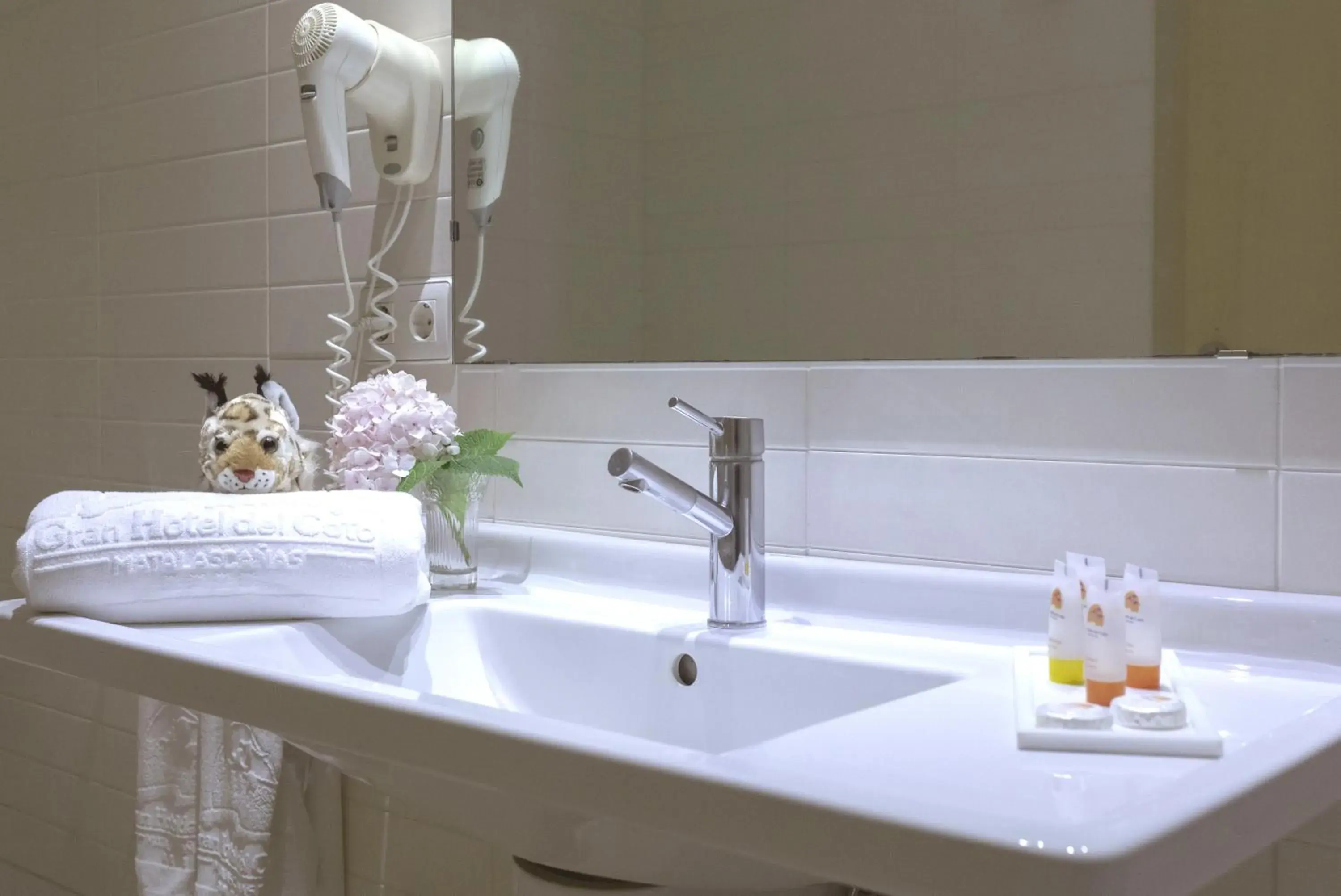 Twin Room in Gran Hotel del Coto Twin Room in Gran Hotel del Coto