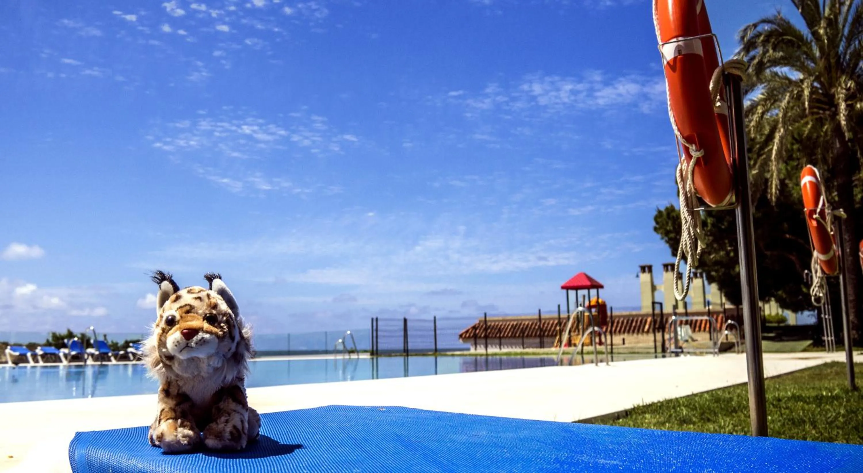 Swimming pool in Gran Hotel del Coto