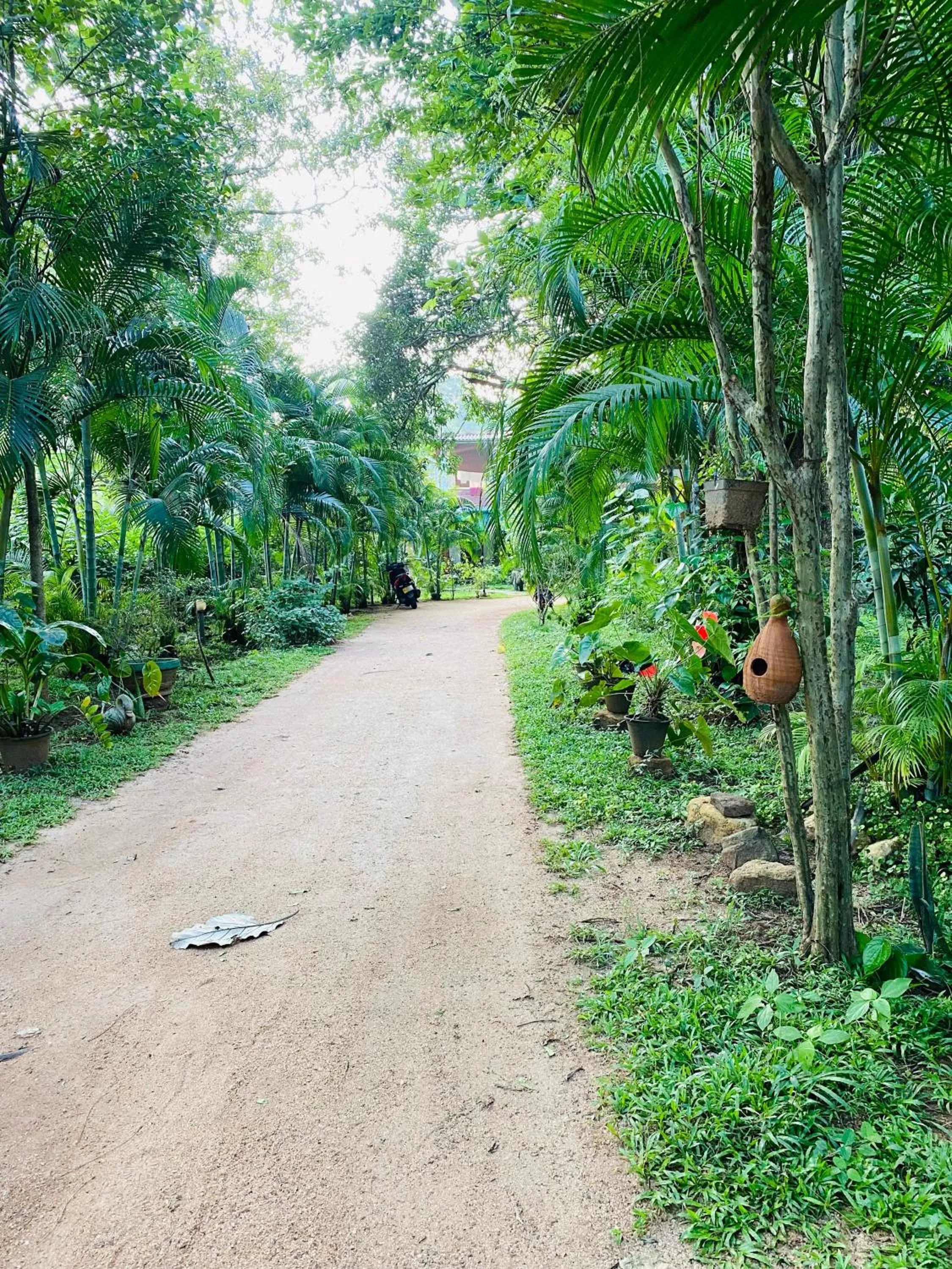 Sigiriya Ranasinghe Nature Villa & Cabana