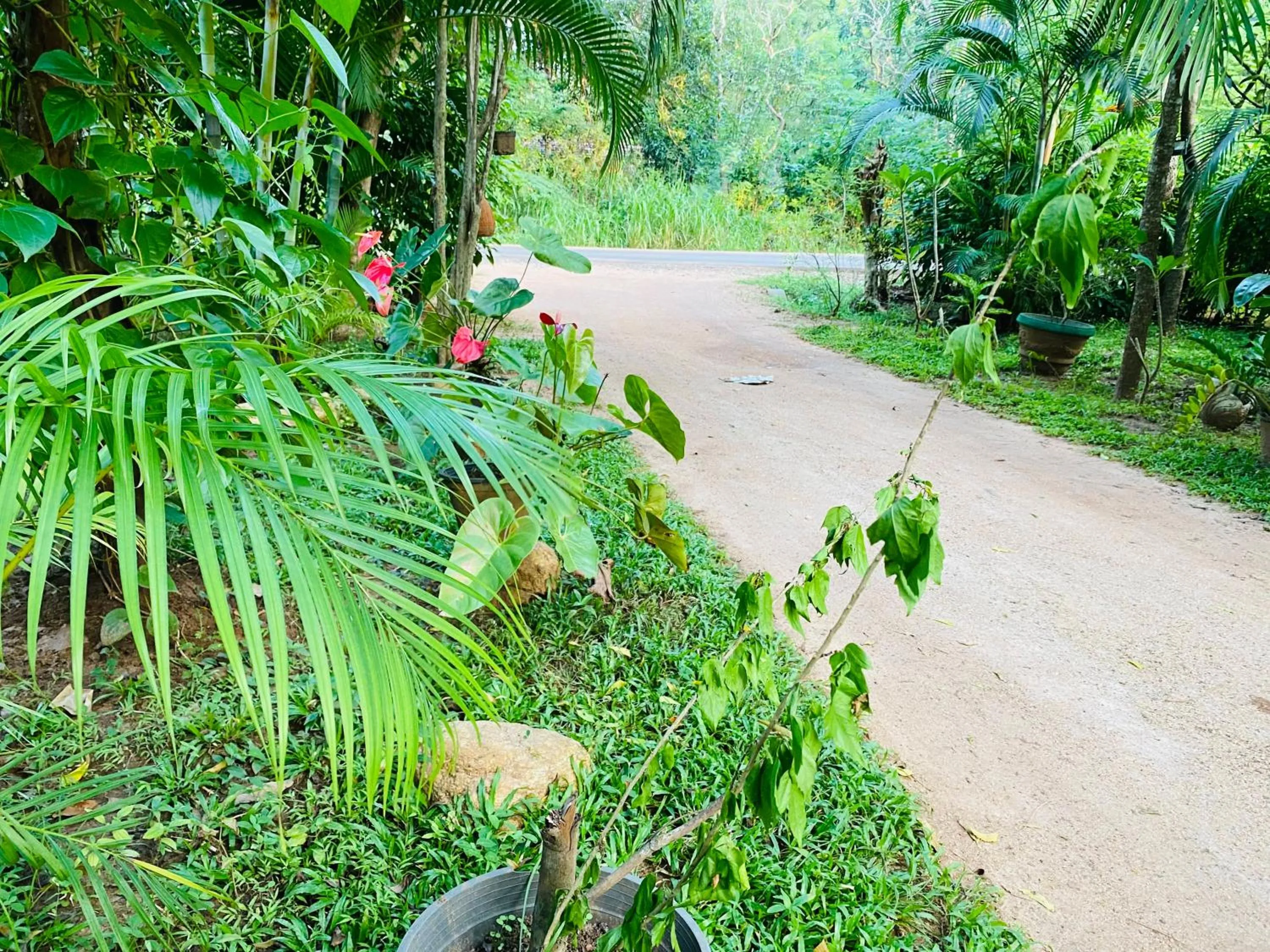 Sigiriya Ranasinghe Nature Villa & Cabana