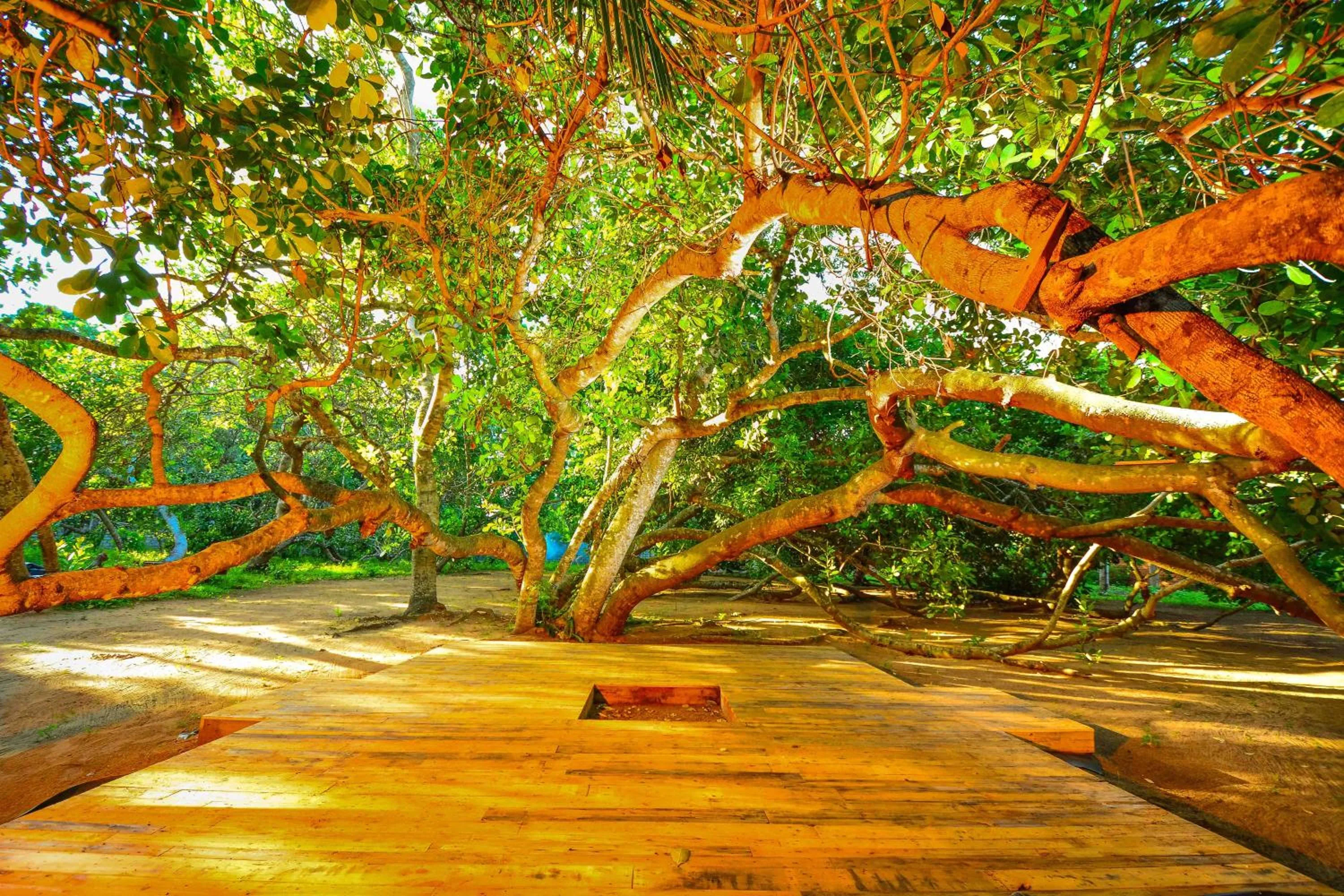 Day in Handun Villas