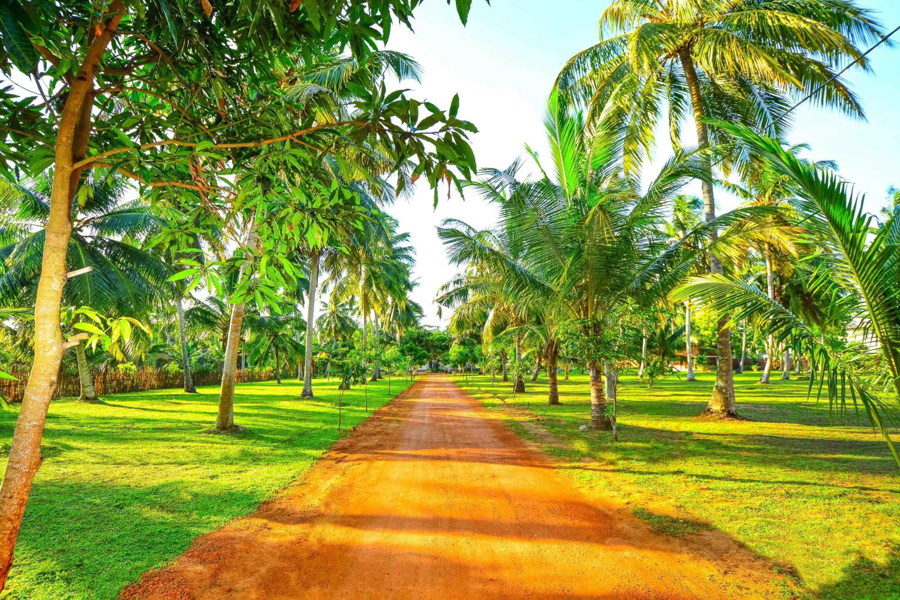 Garden in Handun Villas