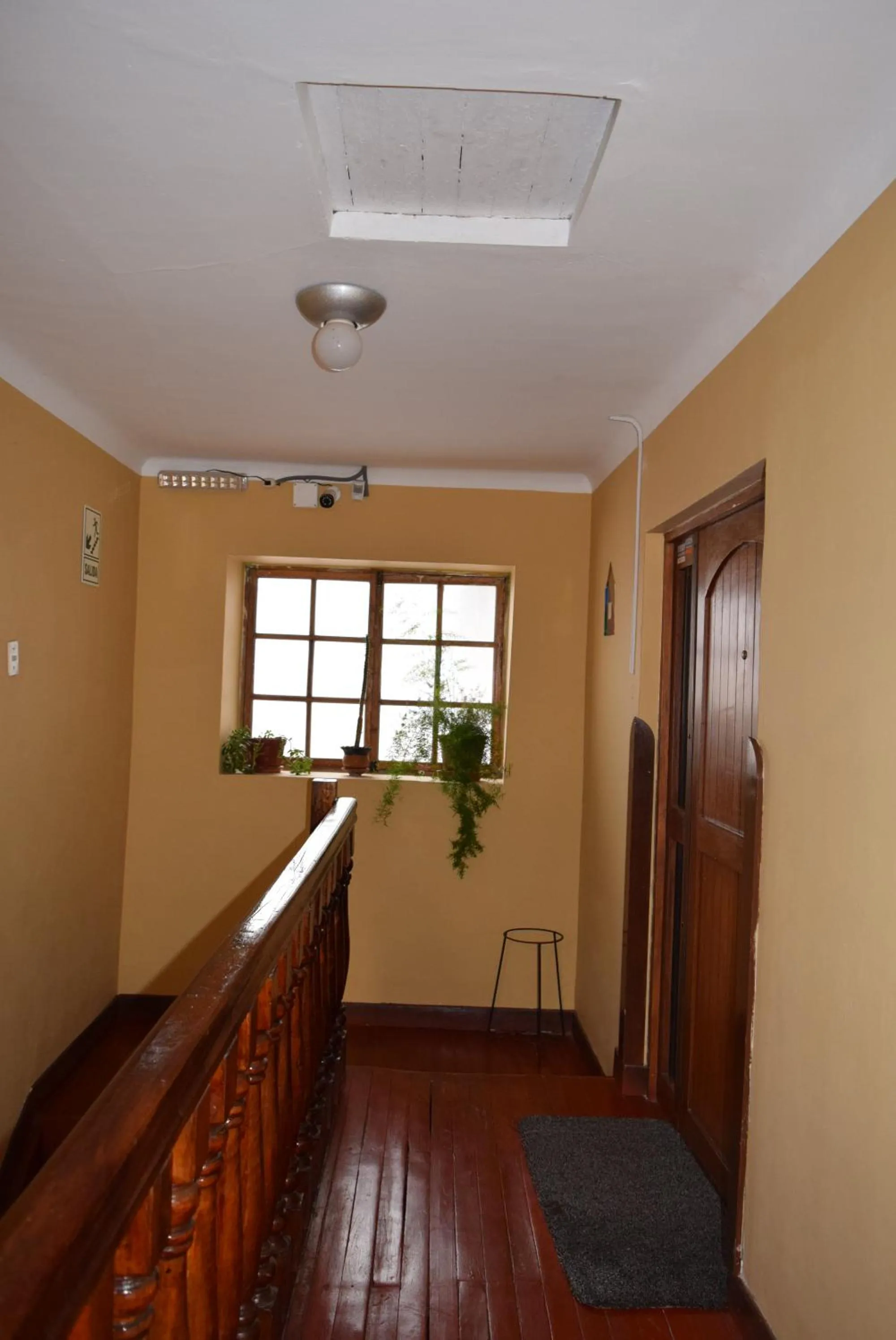 Property building in Casa Saphi