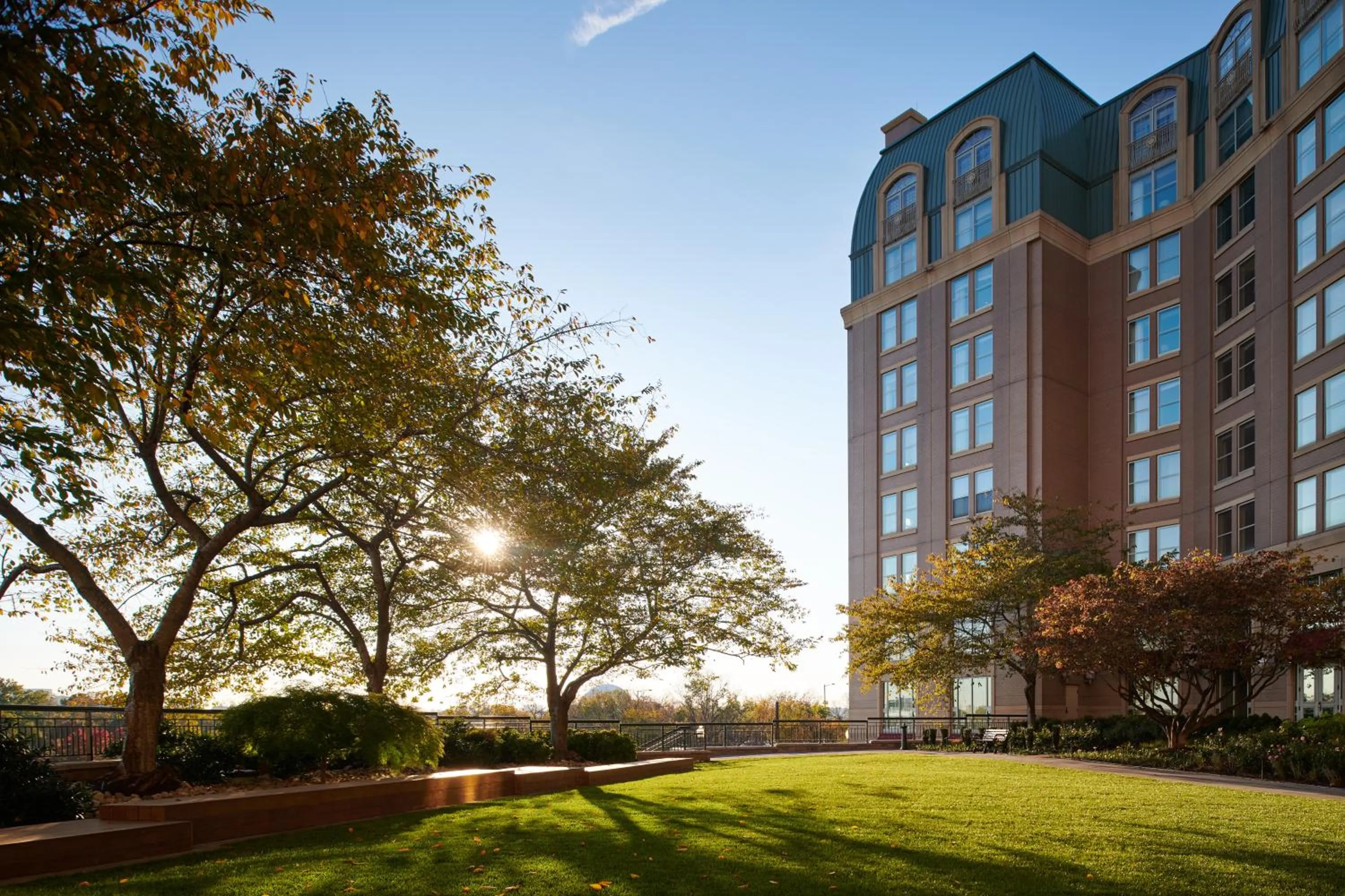 Garden in Salamander Washington DC