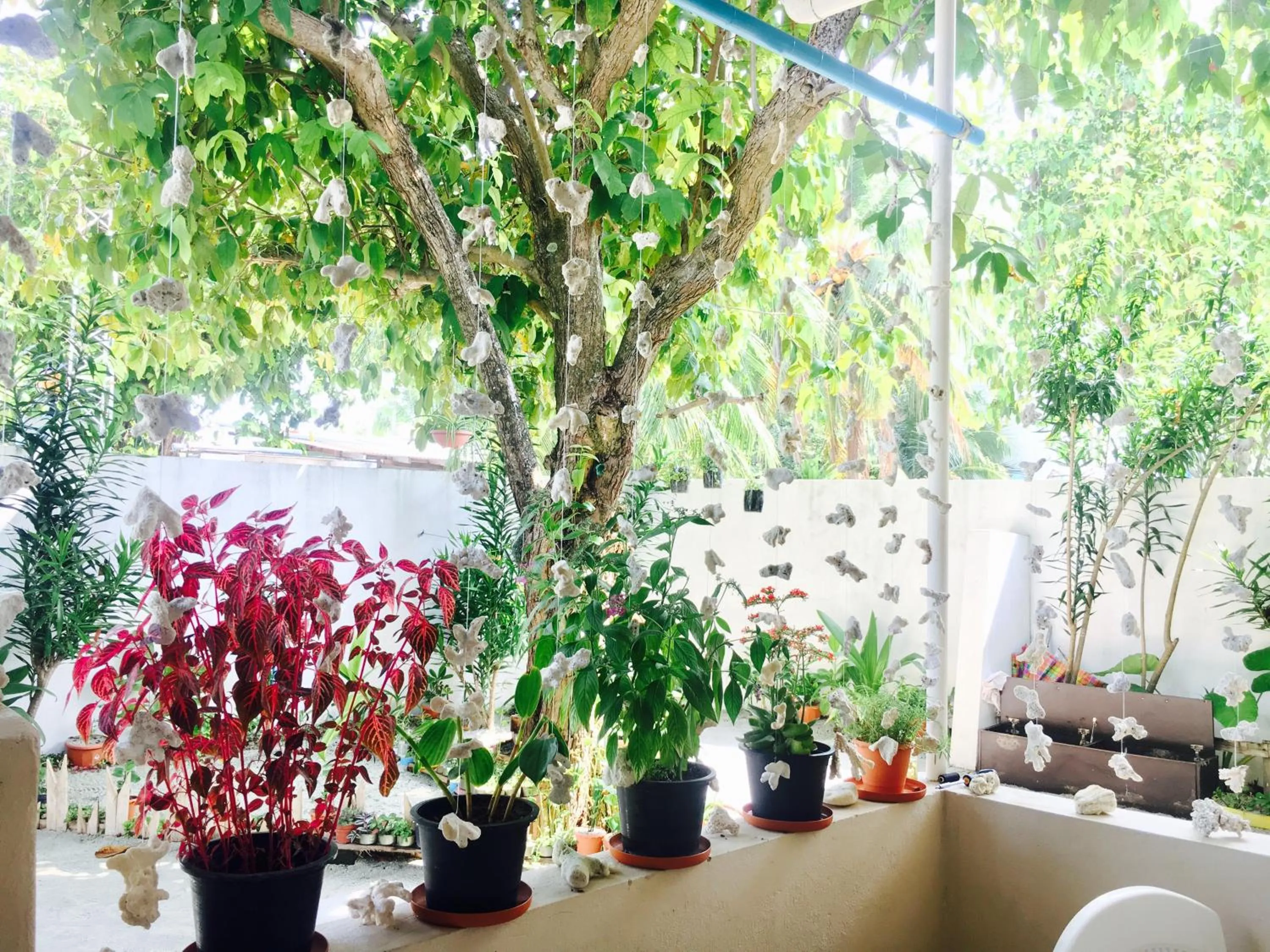 Patio in Midsummer Thulusdhoo