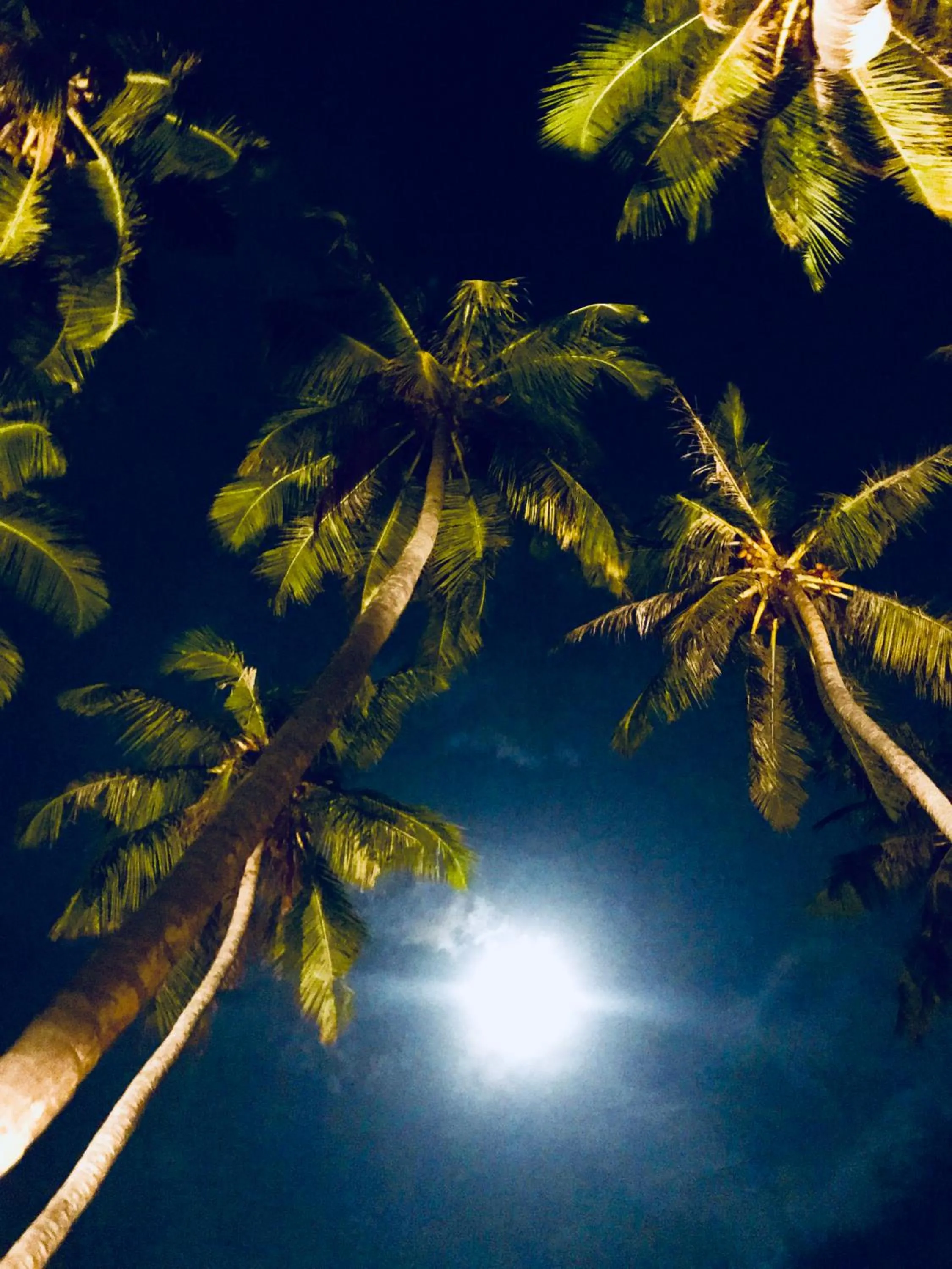 Night in Midsummer Thulusdhoo