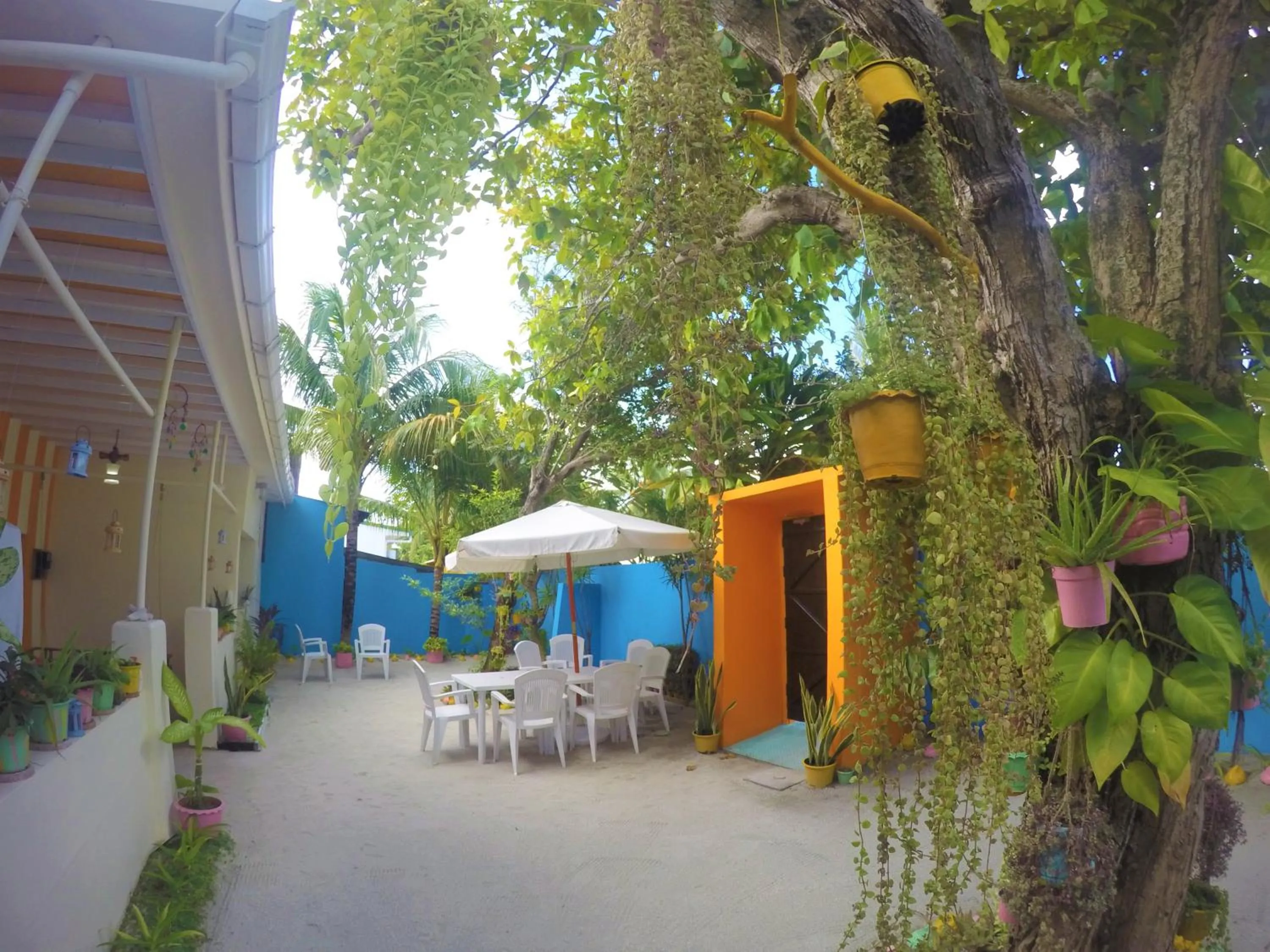 Garden in Midsummer Thulusdhoo