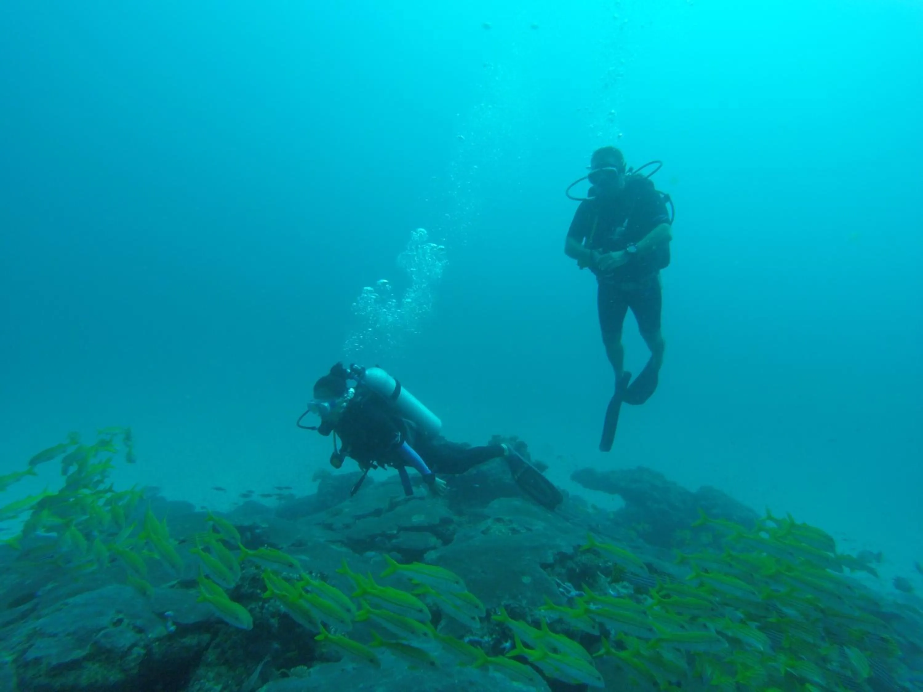 Property building in Midsummer Thulusdhoo
