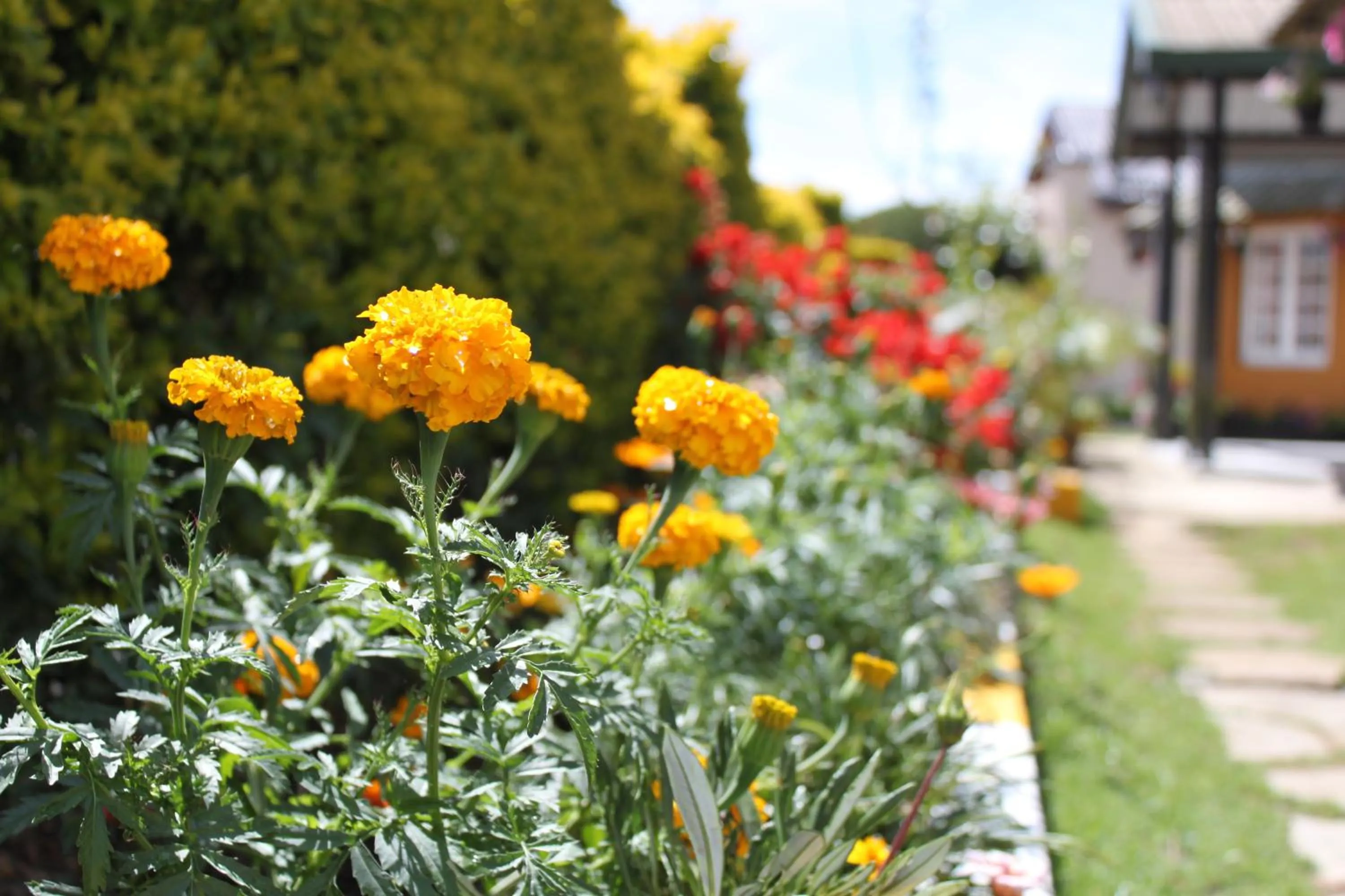 Facade/entrance in Lady Horton Bungalow