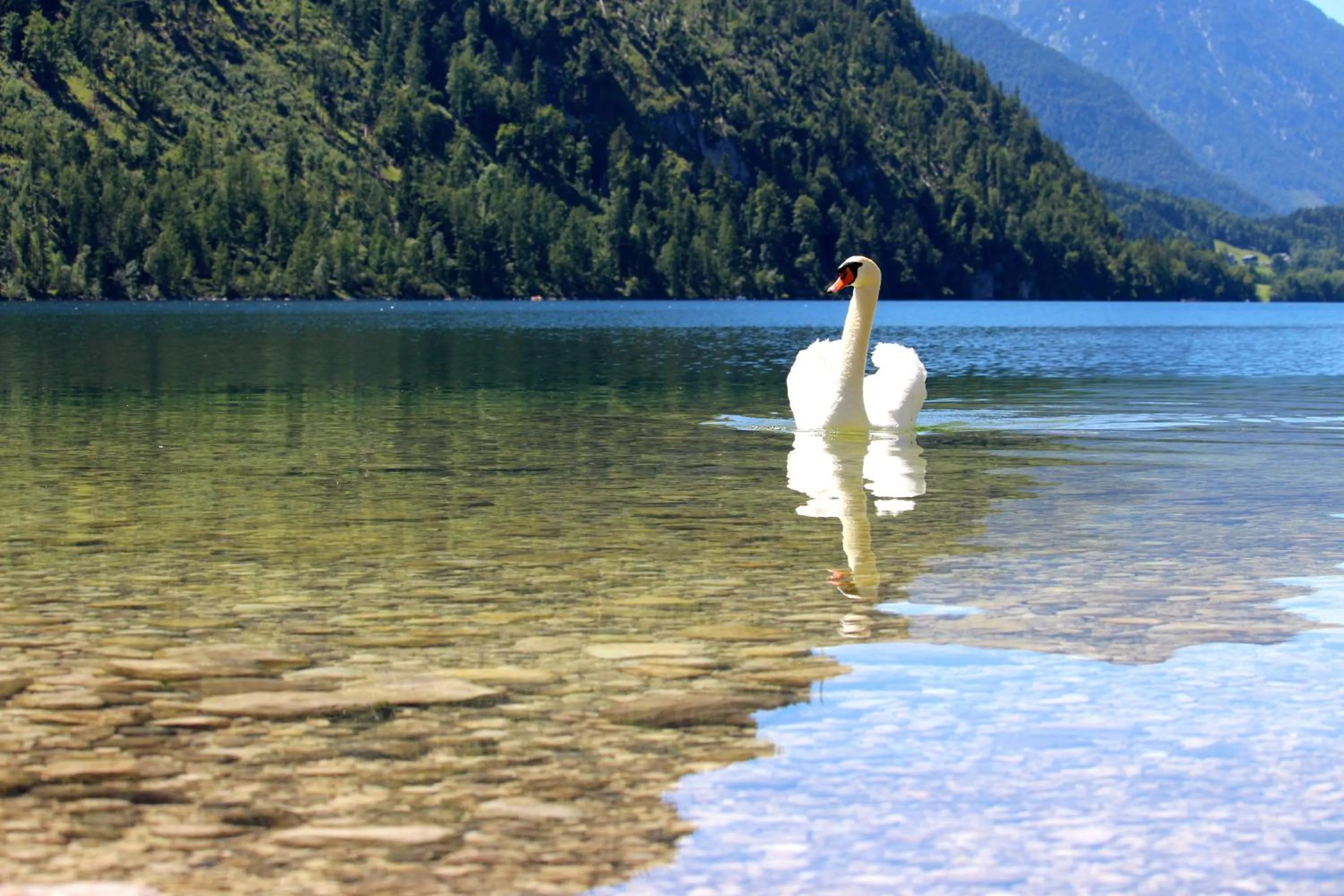 Staff in Boutiquehotel Hubertushof