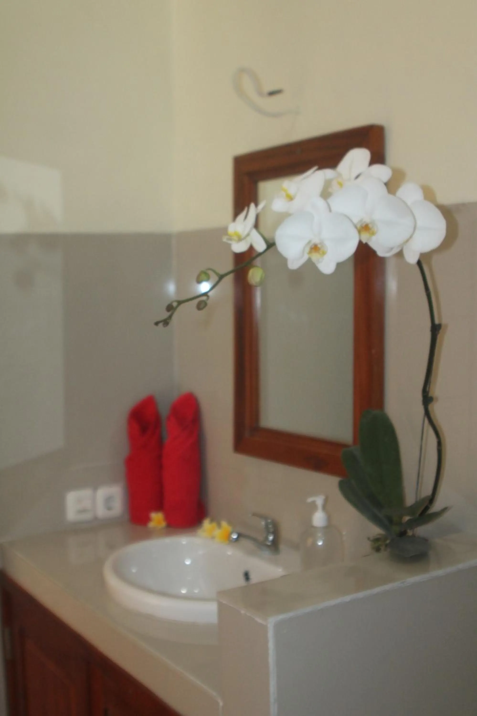 Amed Kunara Guest House