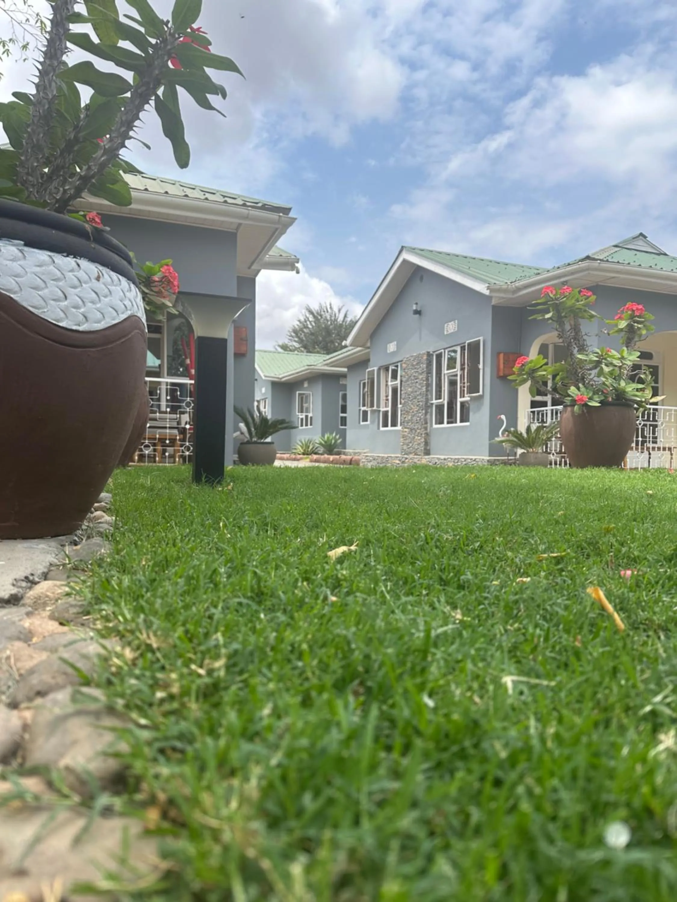 Garden in Le Parlour