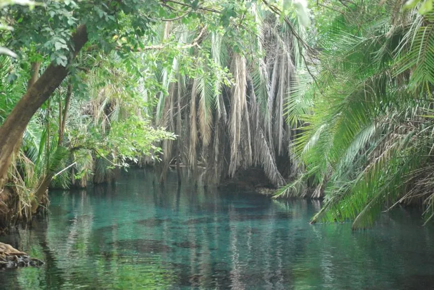 Natural landscape in Le Parlour