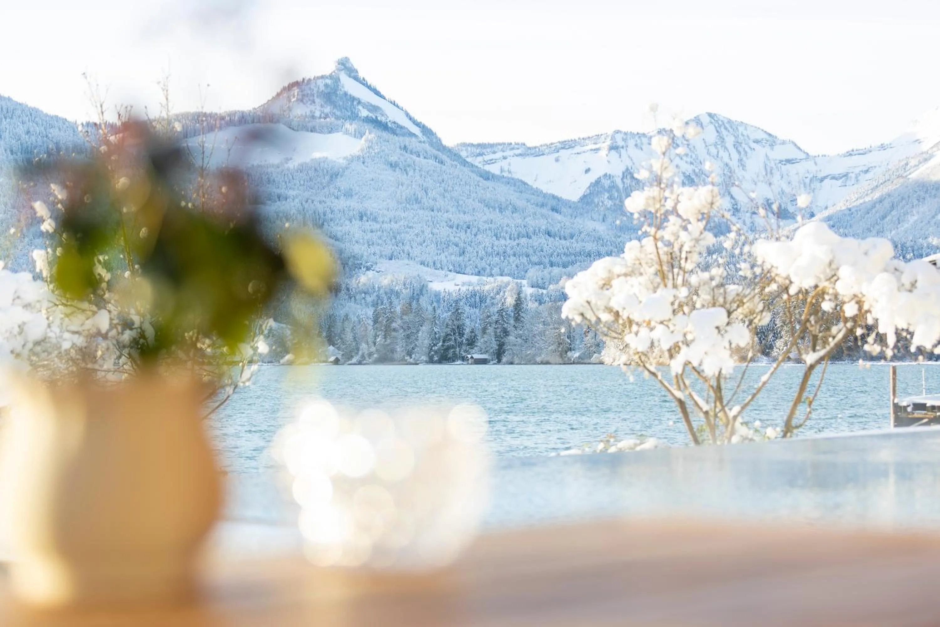 View (from property/room) in Hotel Seevilla Wolfgangsee