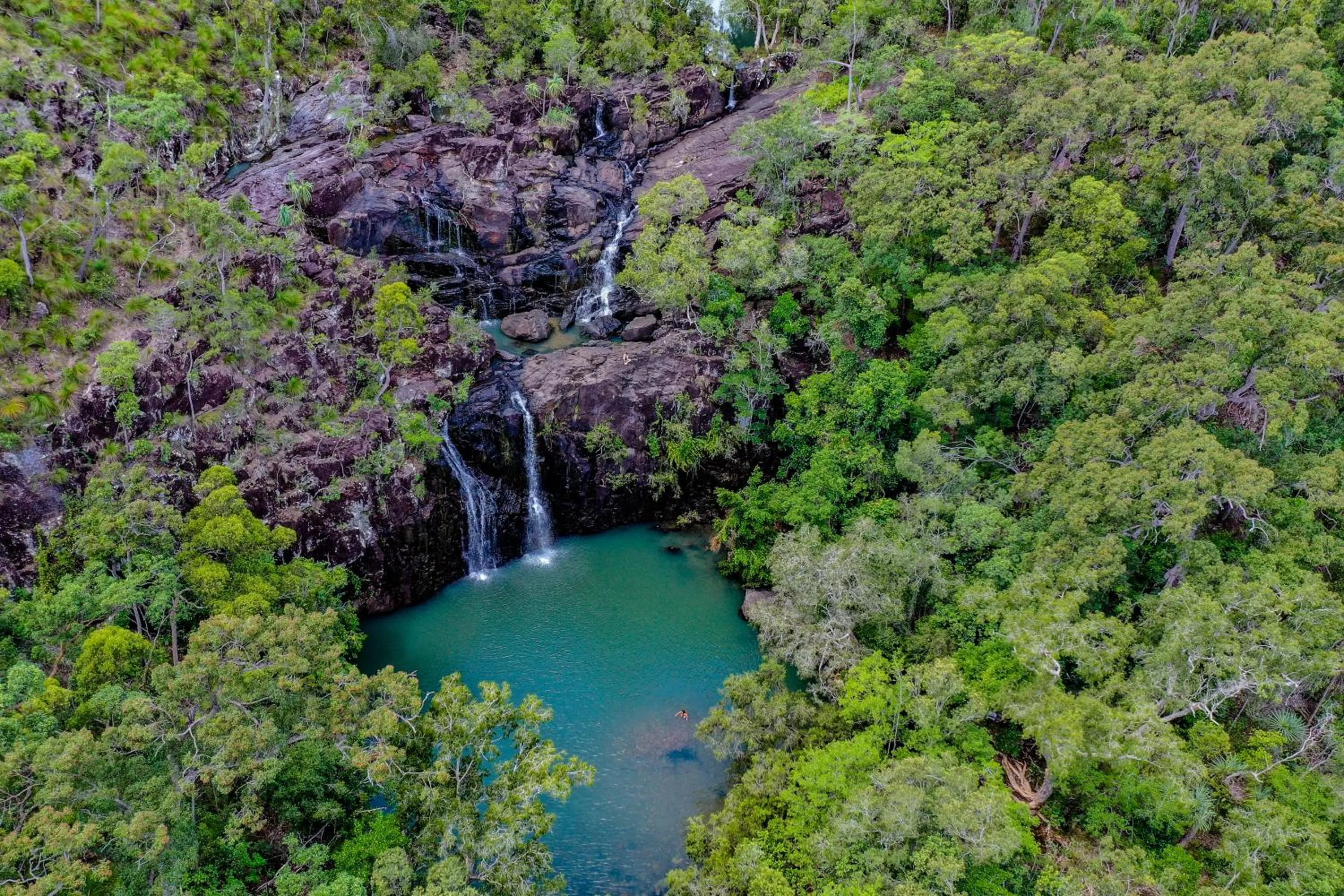 Natural landscape in Shingley Beach Resort - Whitsundays